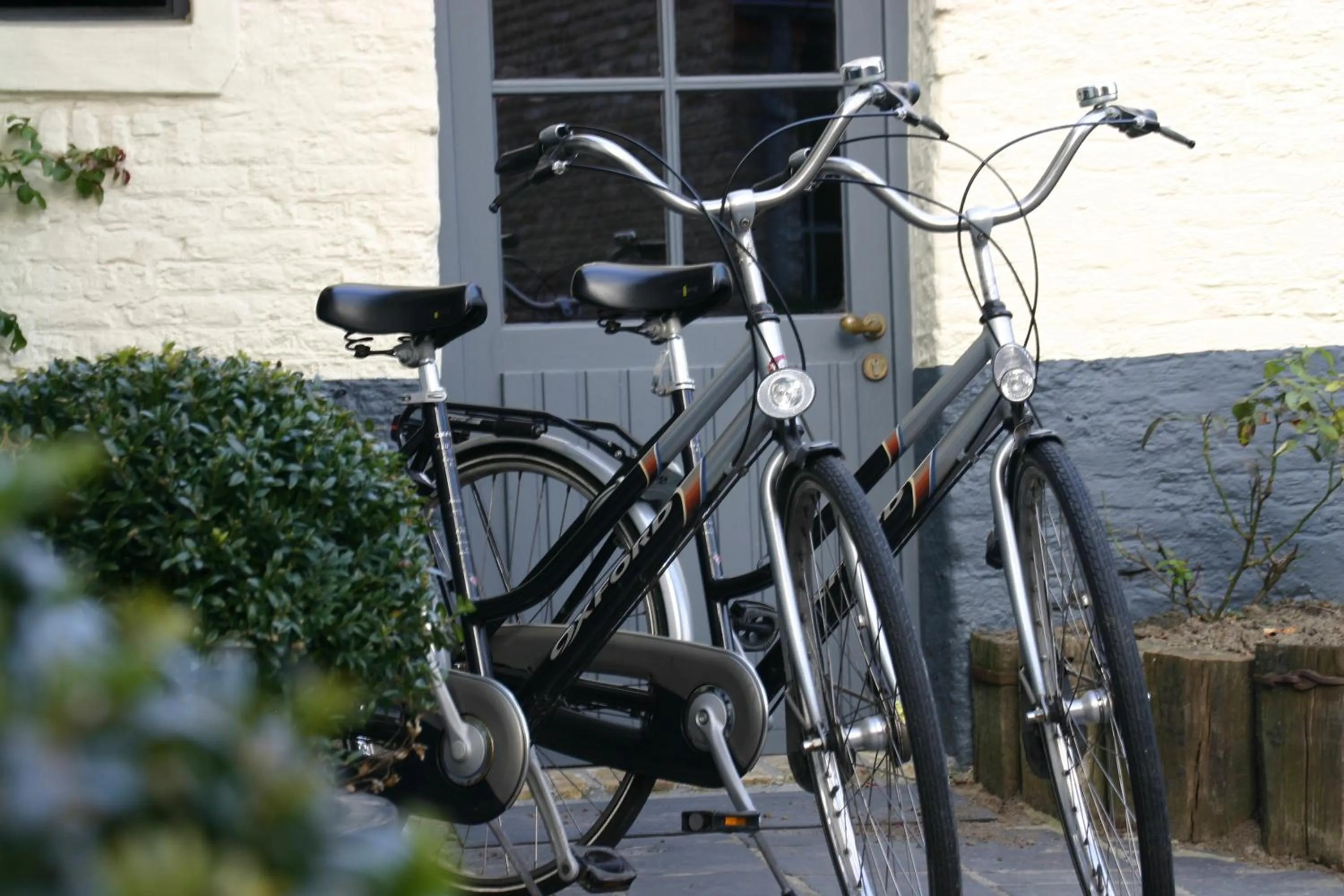 Cycling in Country House Duinhof