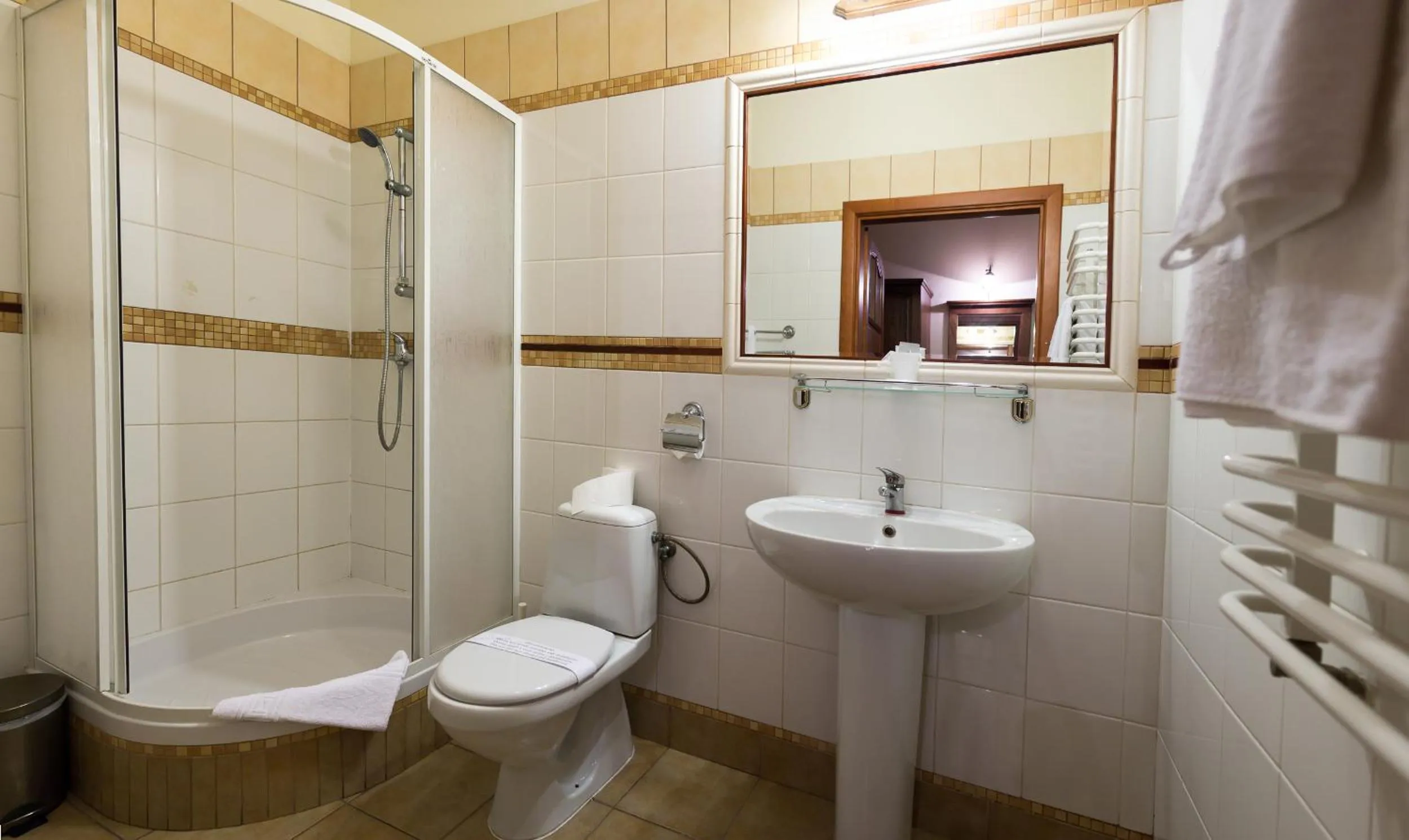 Large Double Room - single occupancy in Hotel Staromiejski