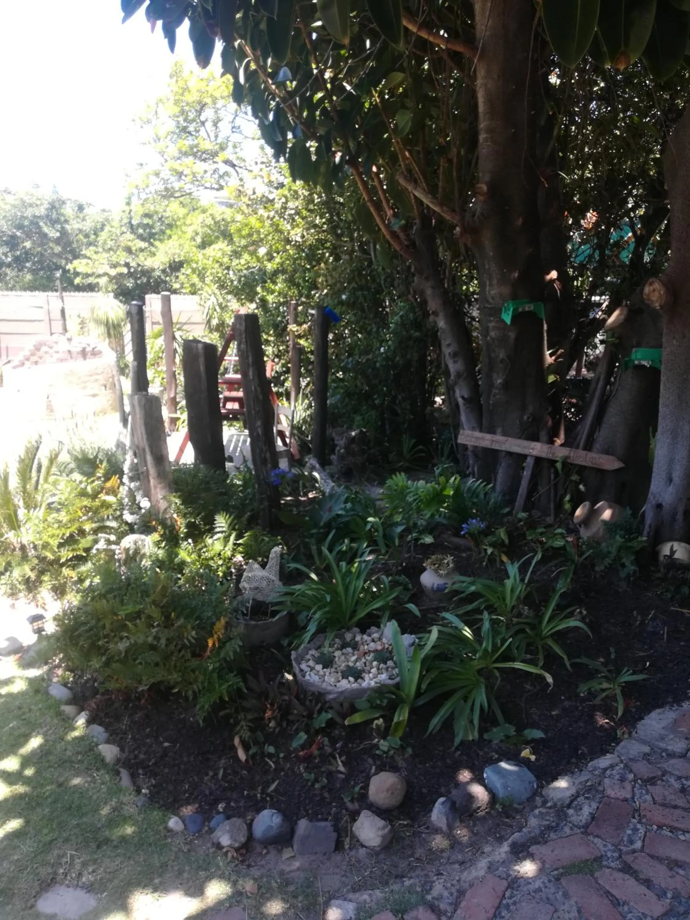 Garden in The Birdhouse Bed & Breakfast #NO Loadshedding #Solar Energy