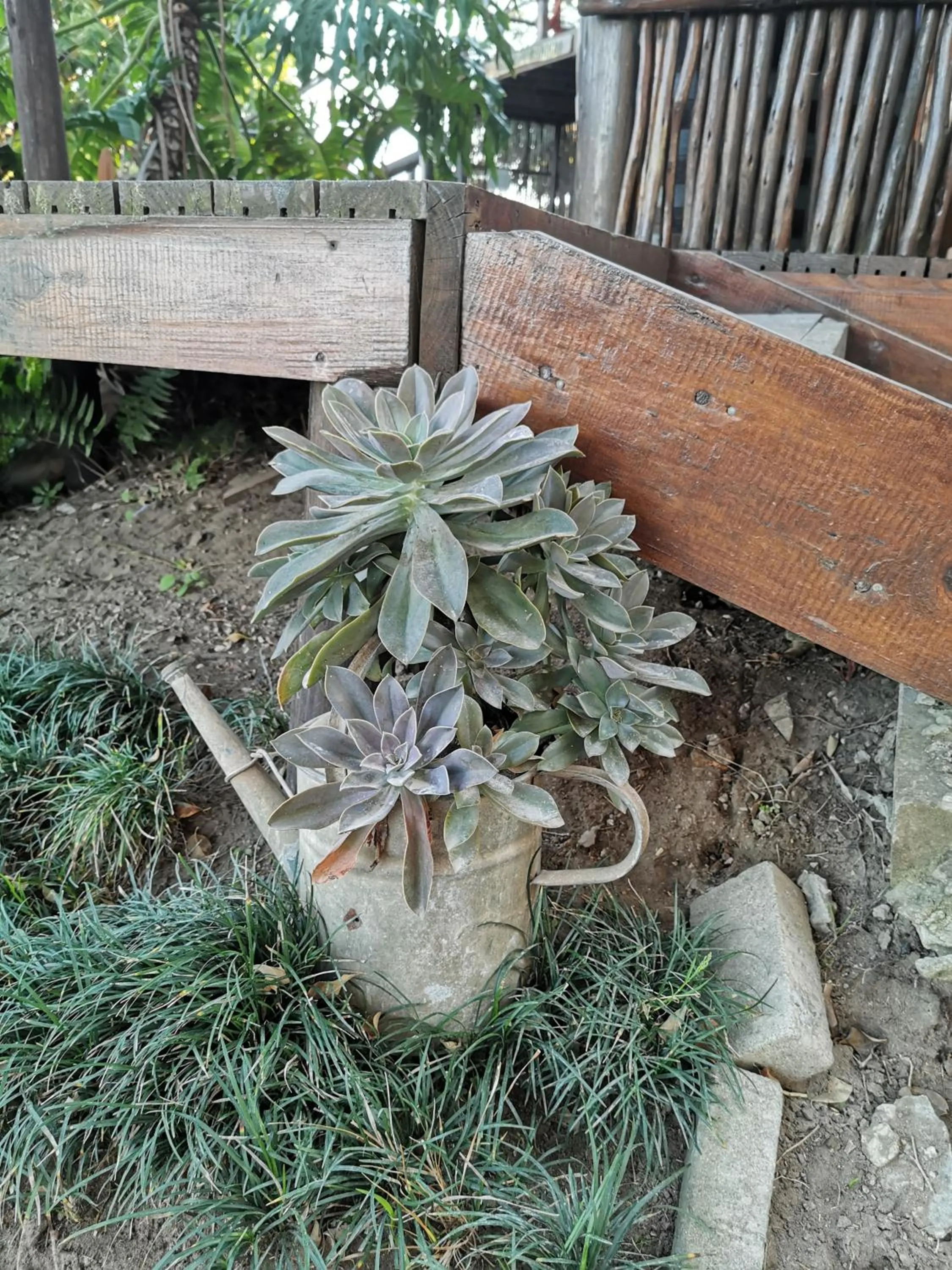 Patio in The Birdhouse Bed & Breakfast #NO Loadshedding #Solar Energy