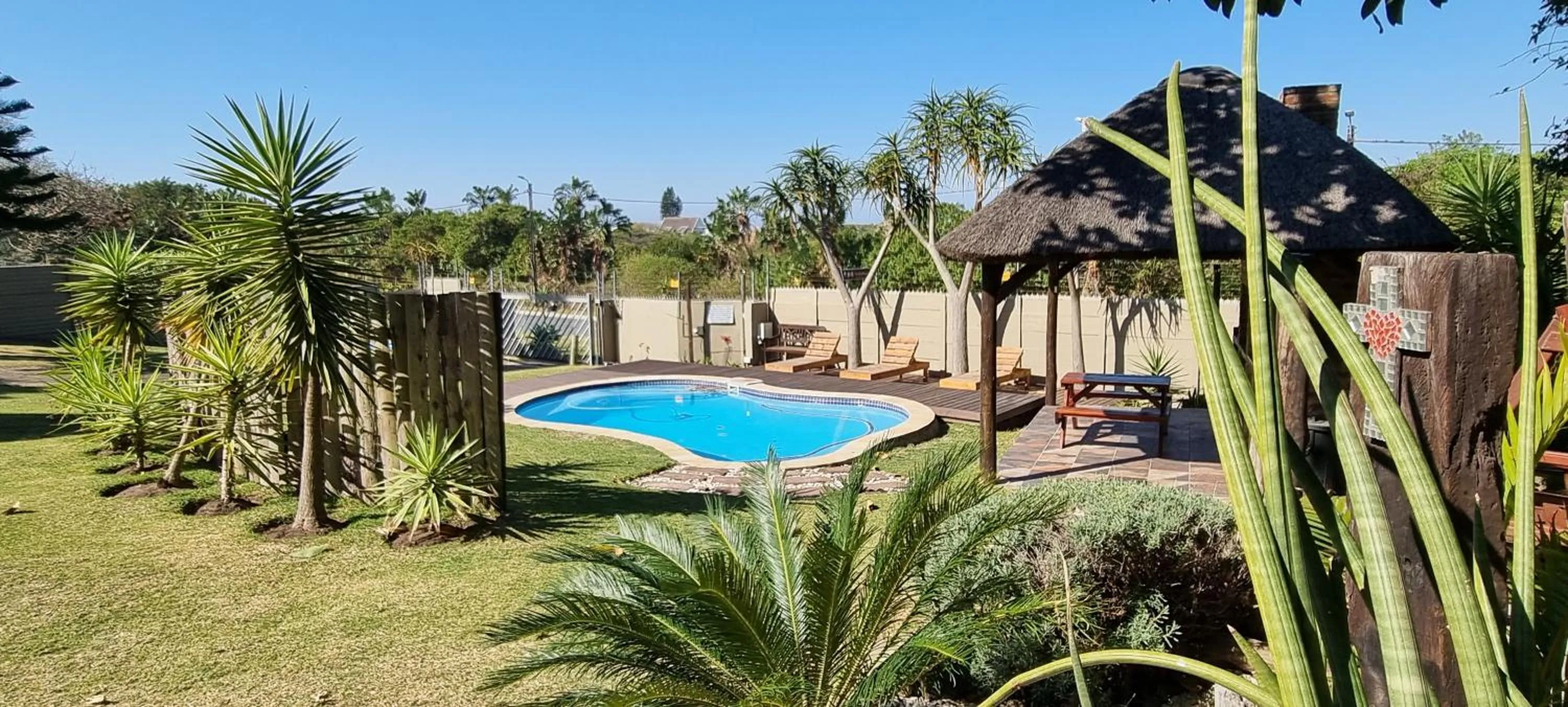 Pool view in The Birdhouse Bed & Breakfast #NO Loadshedding #Solar Energy