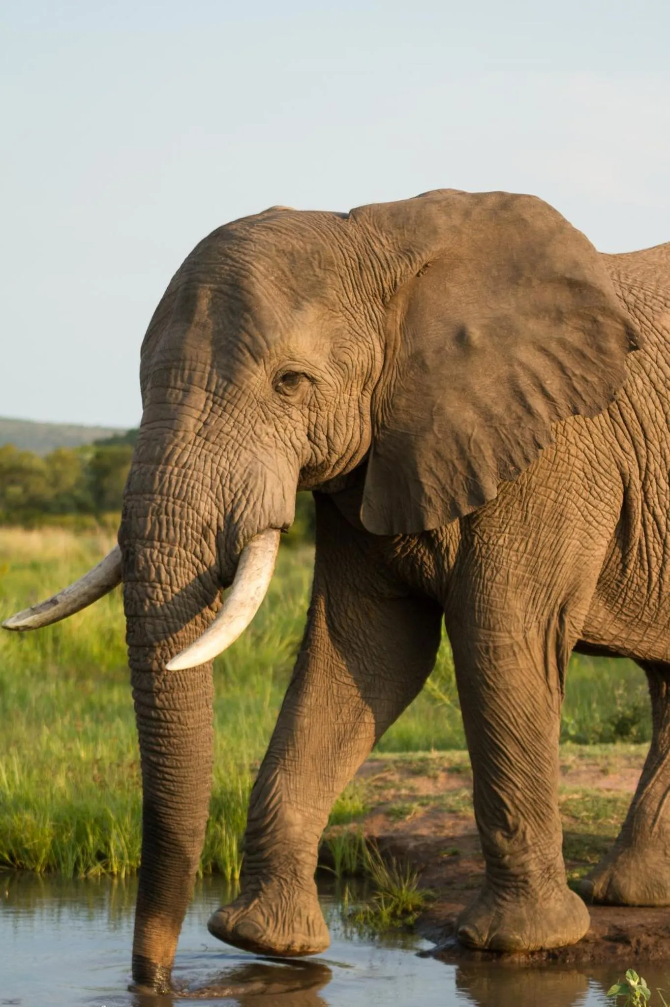 View (from property/room) in Nedile Lodge