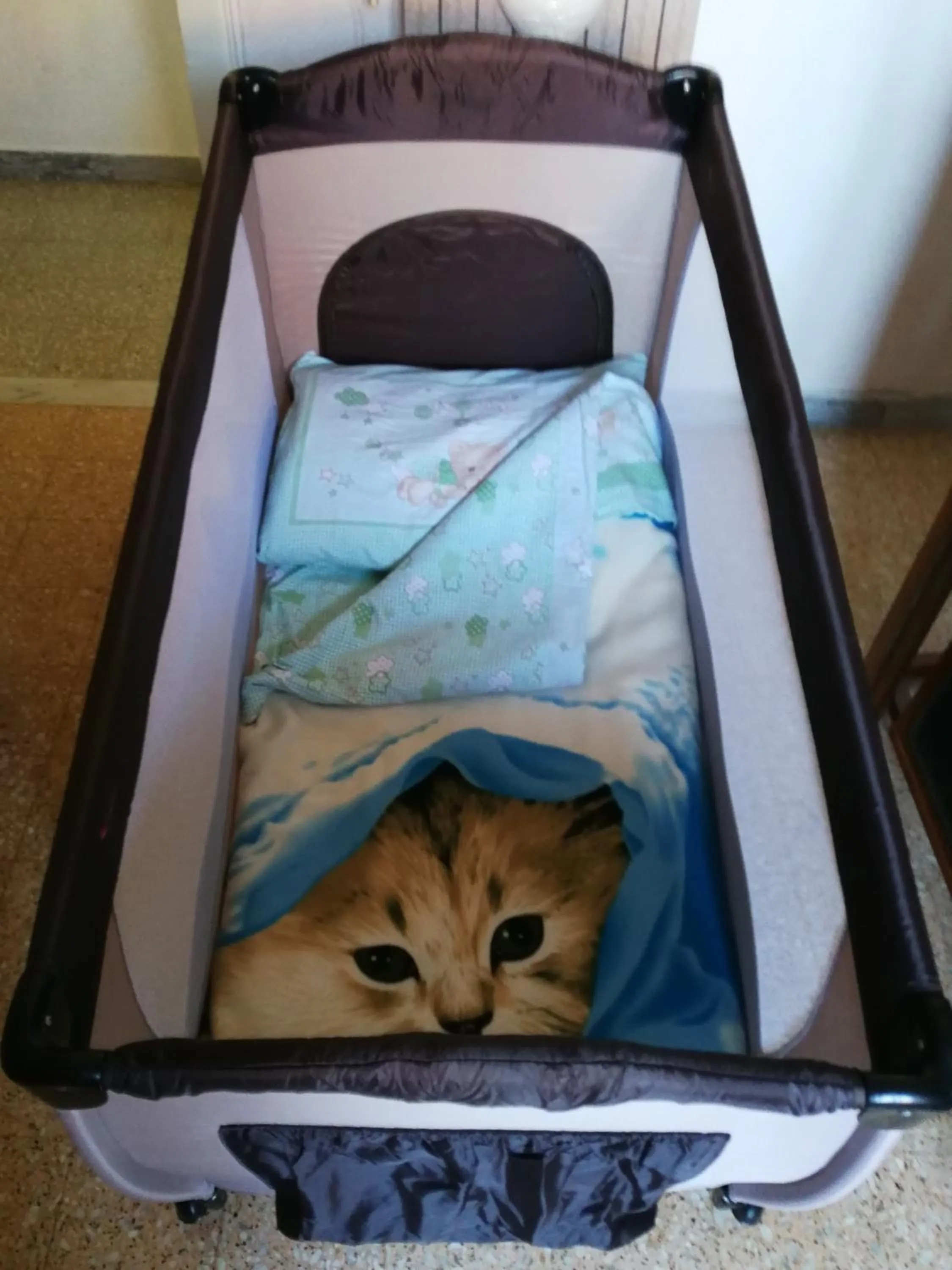 cot in I due Baroni - fronte Campus