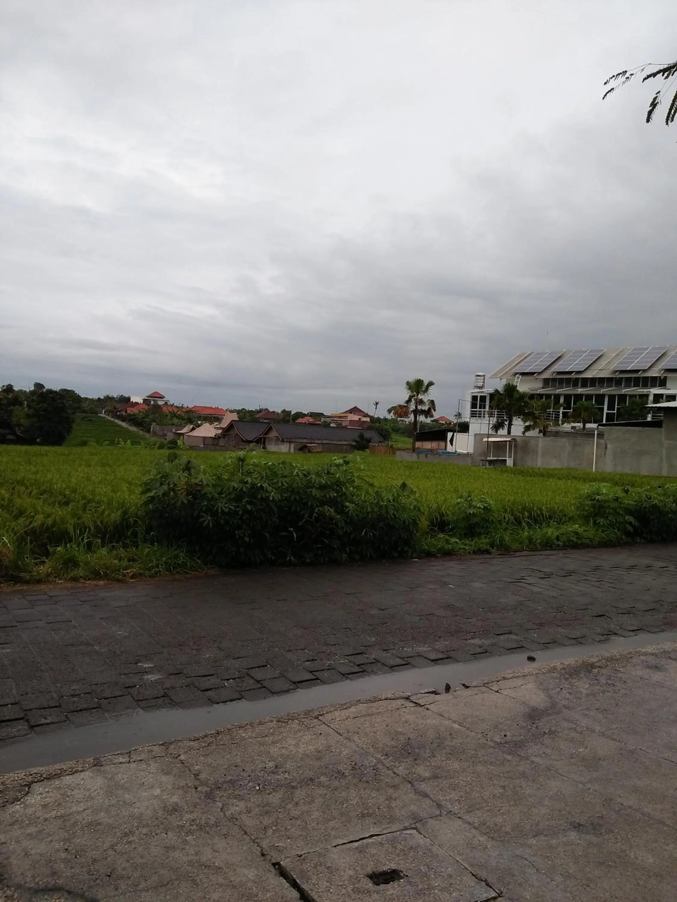 Neighbourhood in The Wina Guest House 2