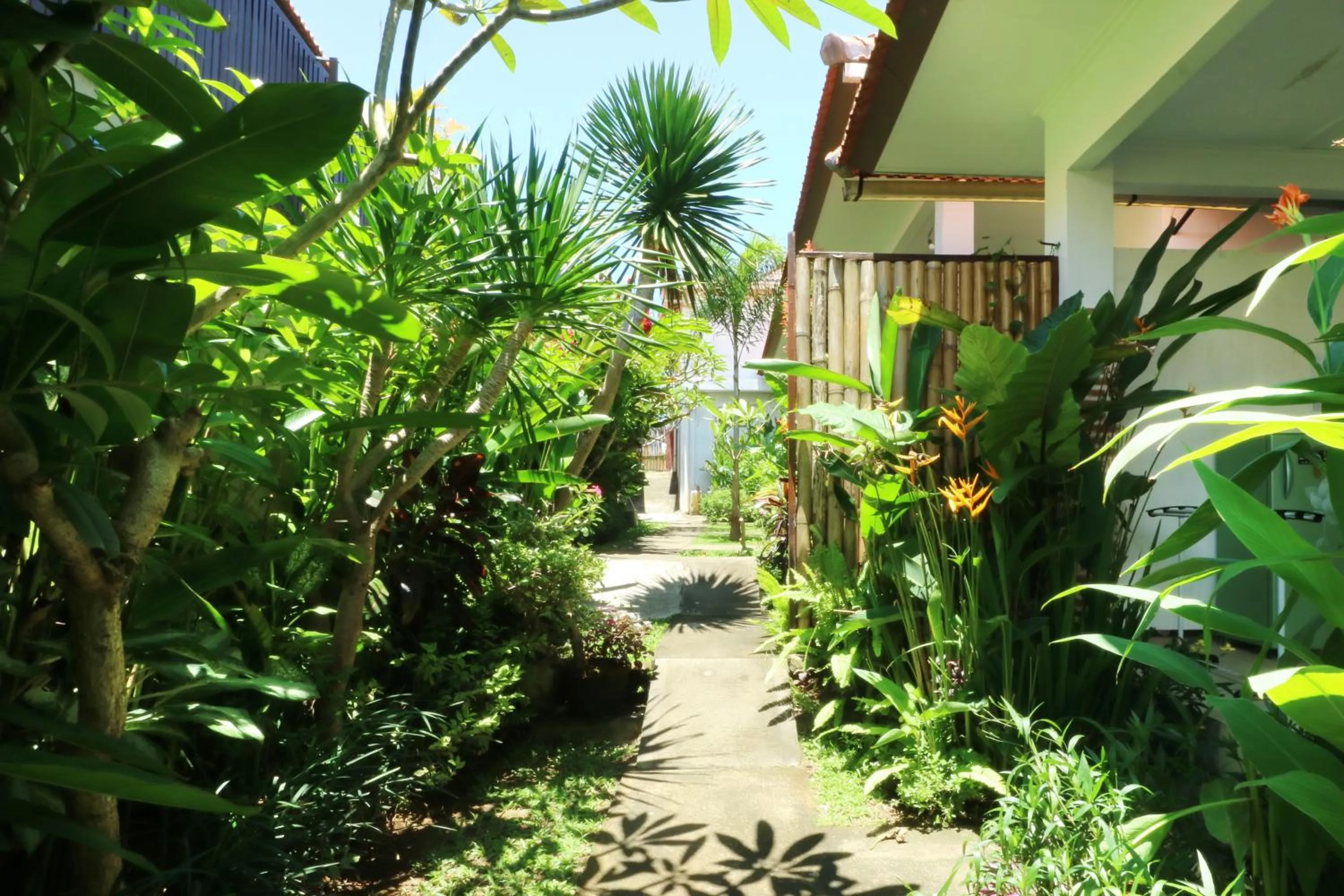 Garden in The Wina Guest House 2