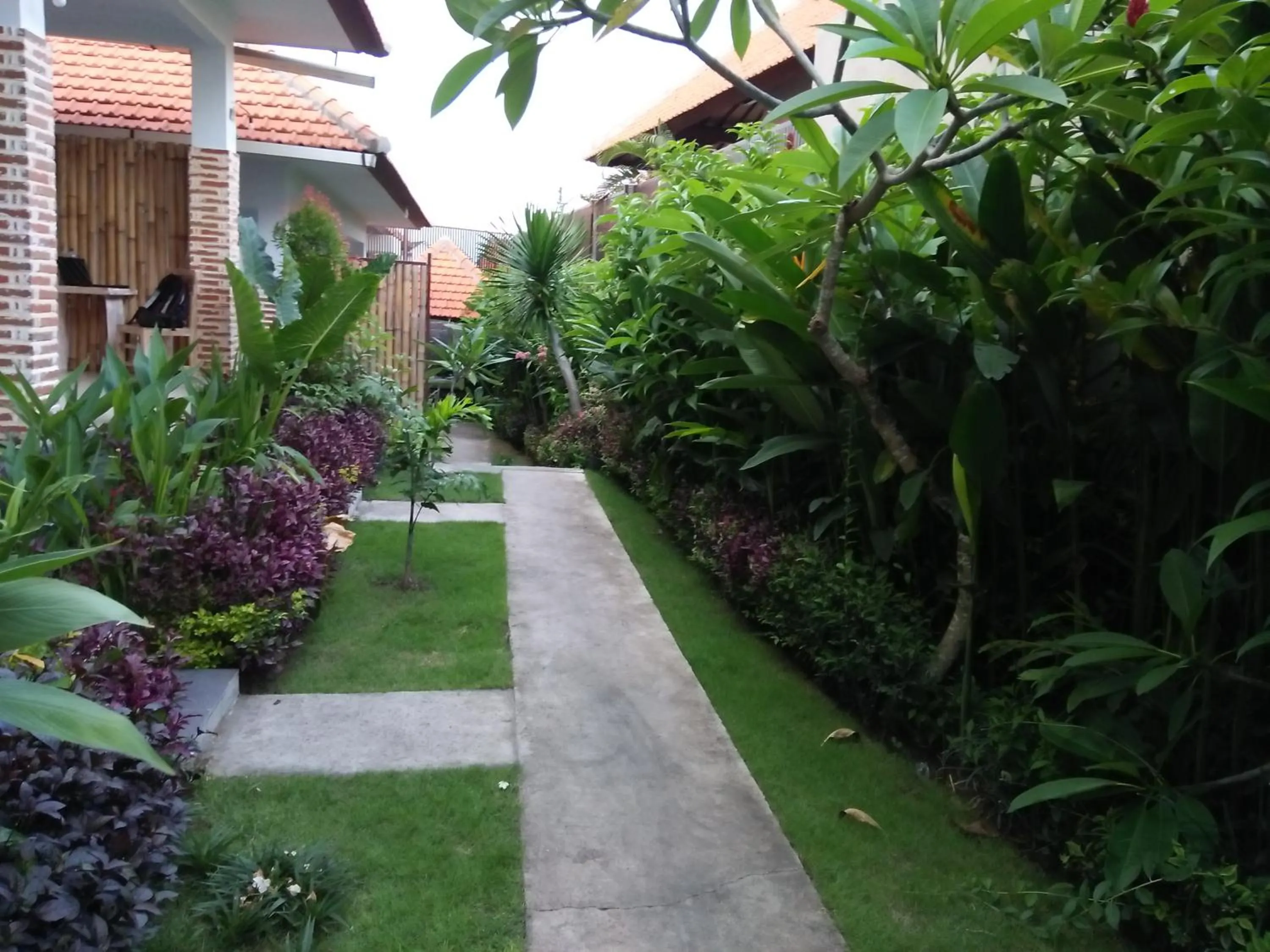 Garden in The Wina Guest House 2