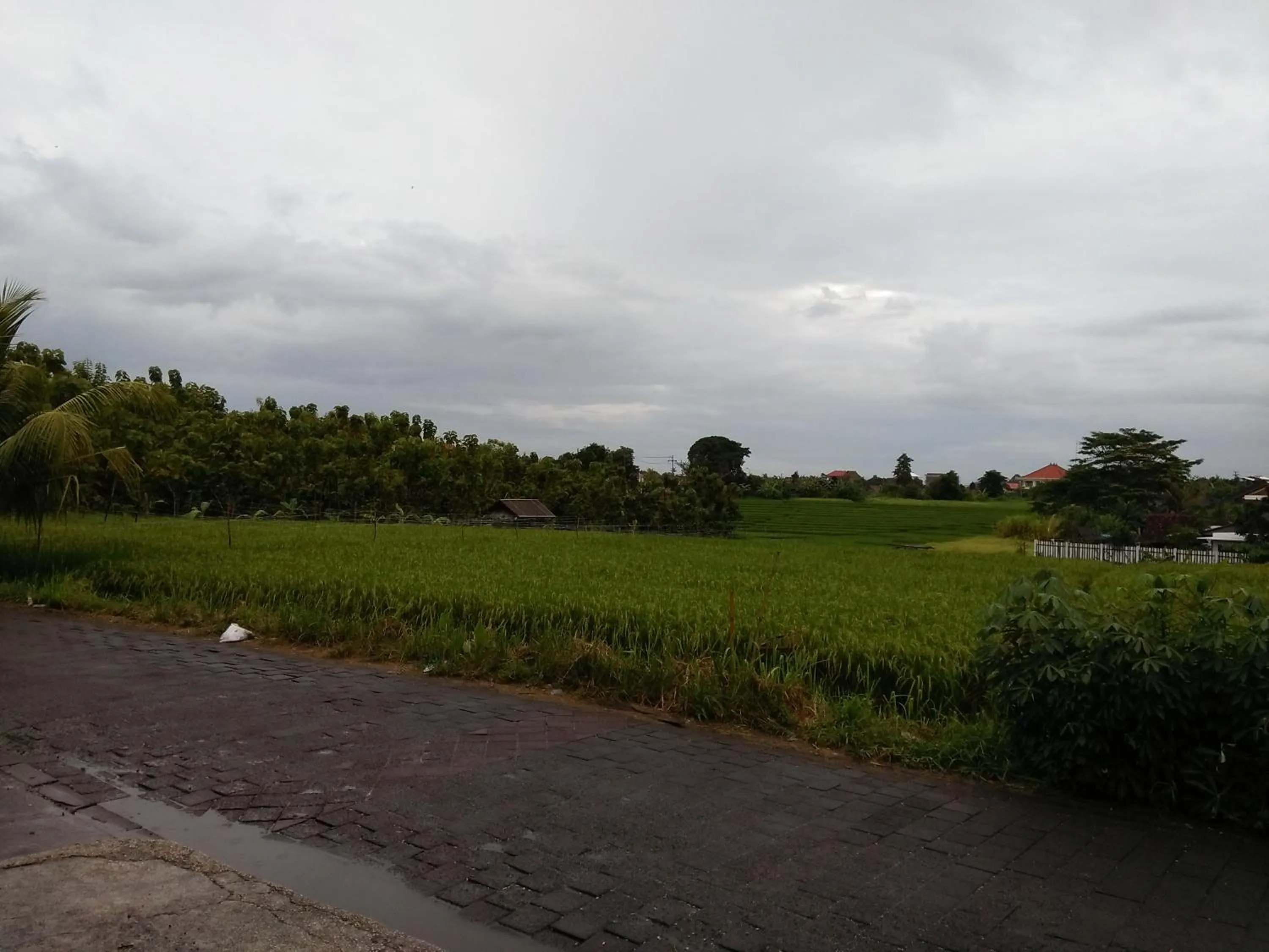 Street view in The Wina Guest House 2