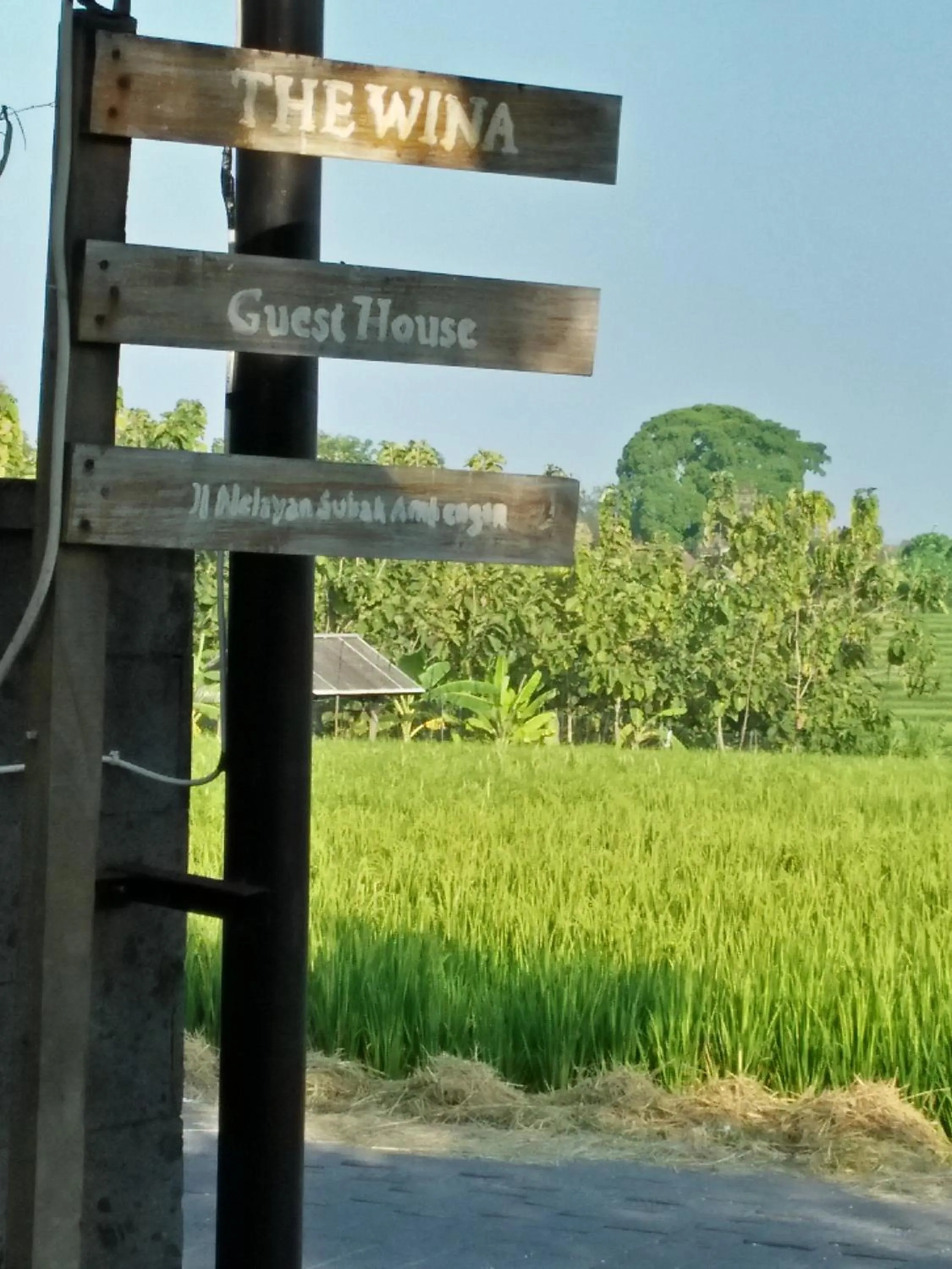 Other in The Wina Guest House 2