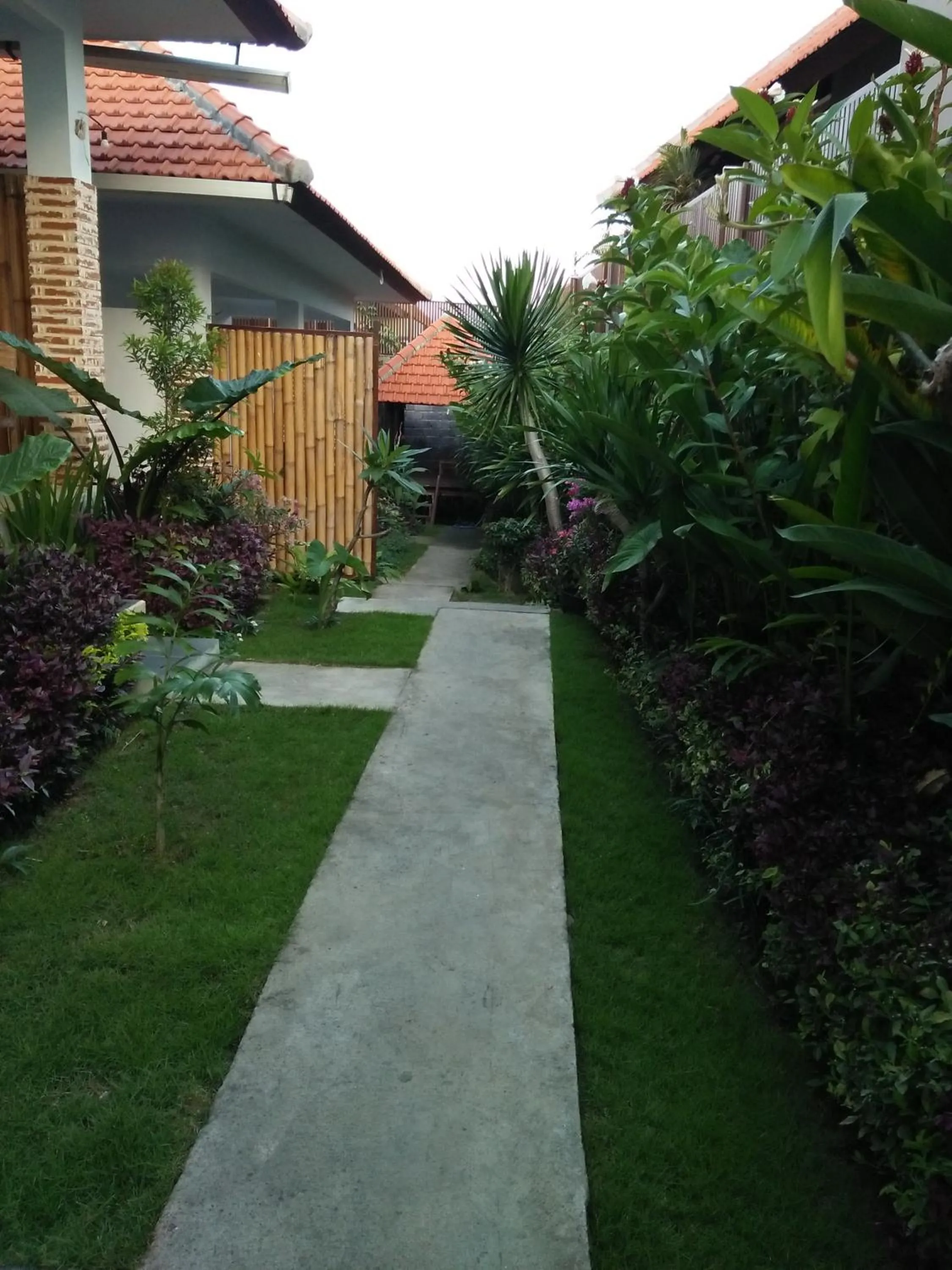 Garden view in The Wina Guest House 2