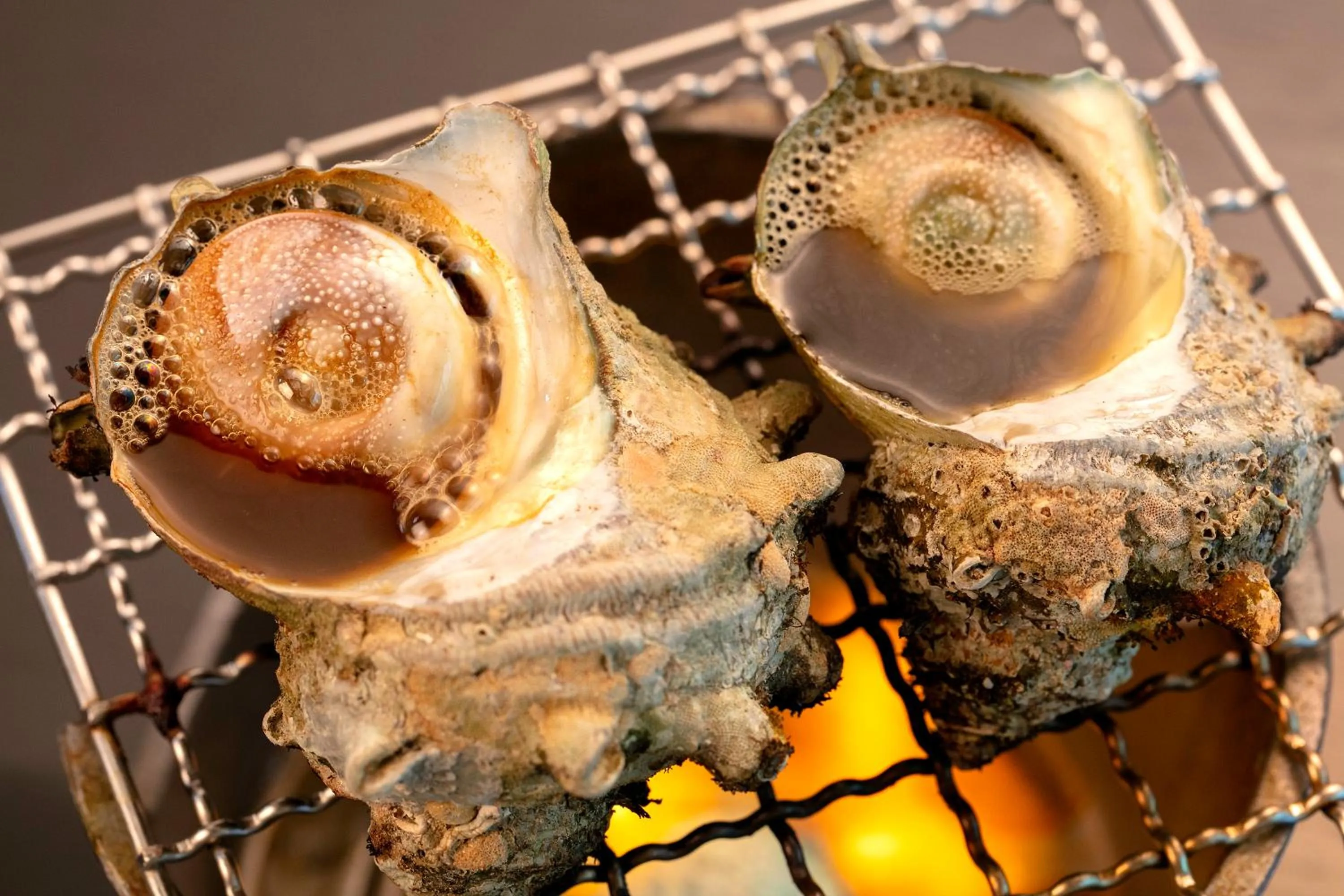 Food close-up in Honjin