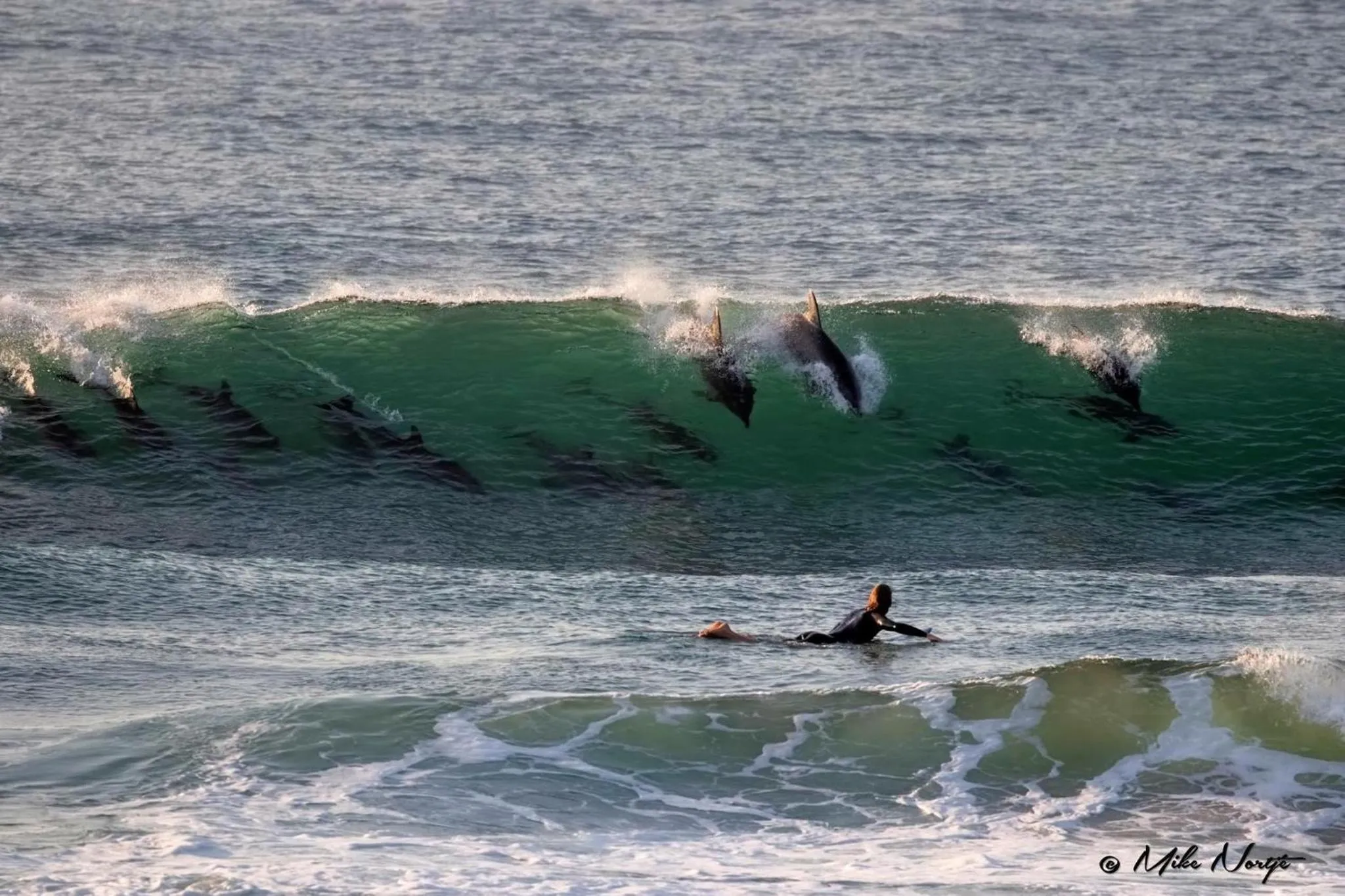 Ansteys Beach Self Catering Apartments