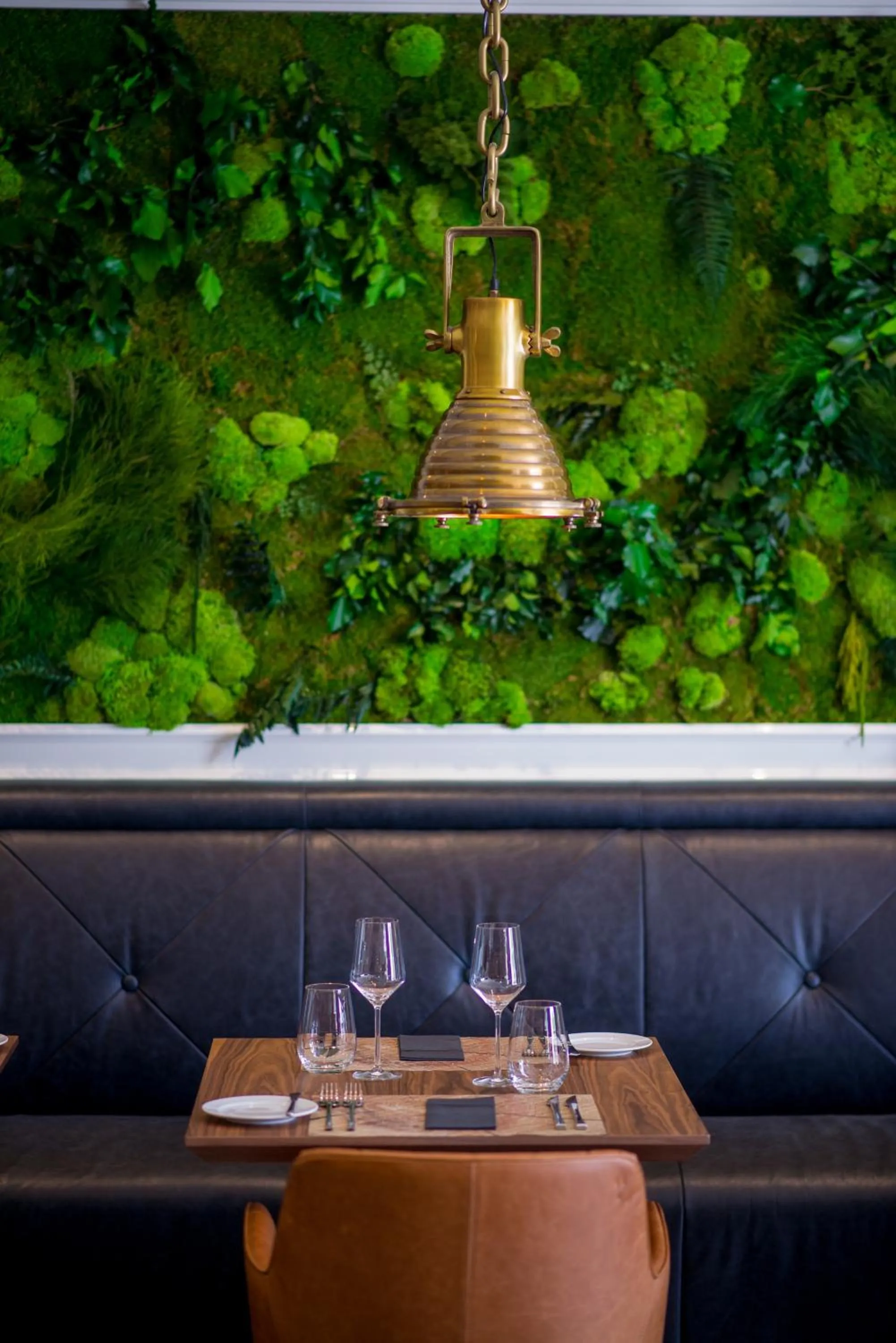 Restaurant/places to eat in Hotel Forza Terra