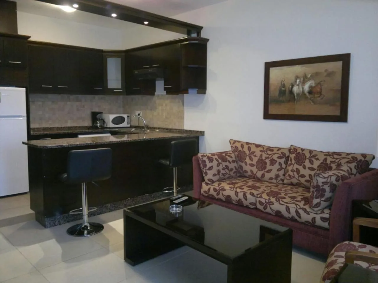 Torino Apartments شقق تورينو