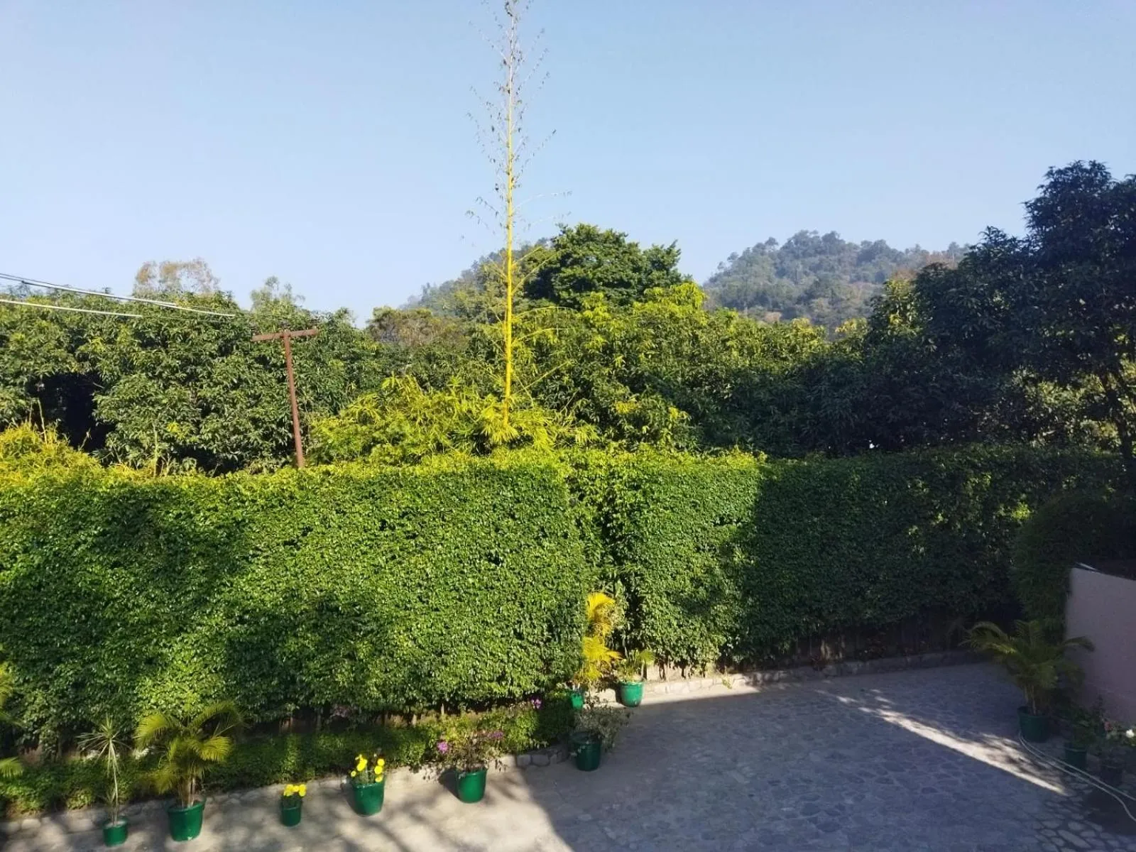 View (from property/room) in Corbett Comfort Lodge