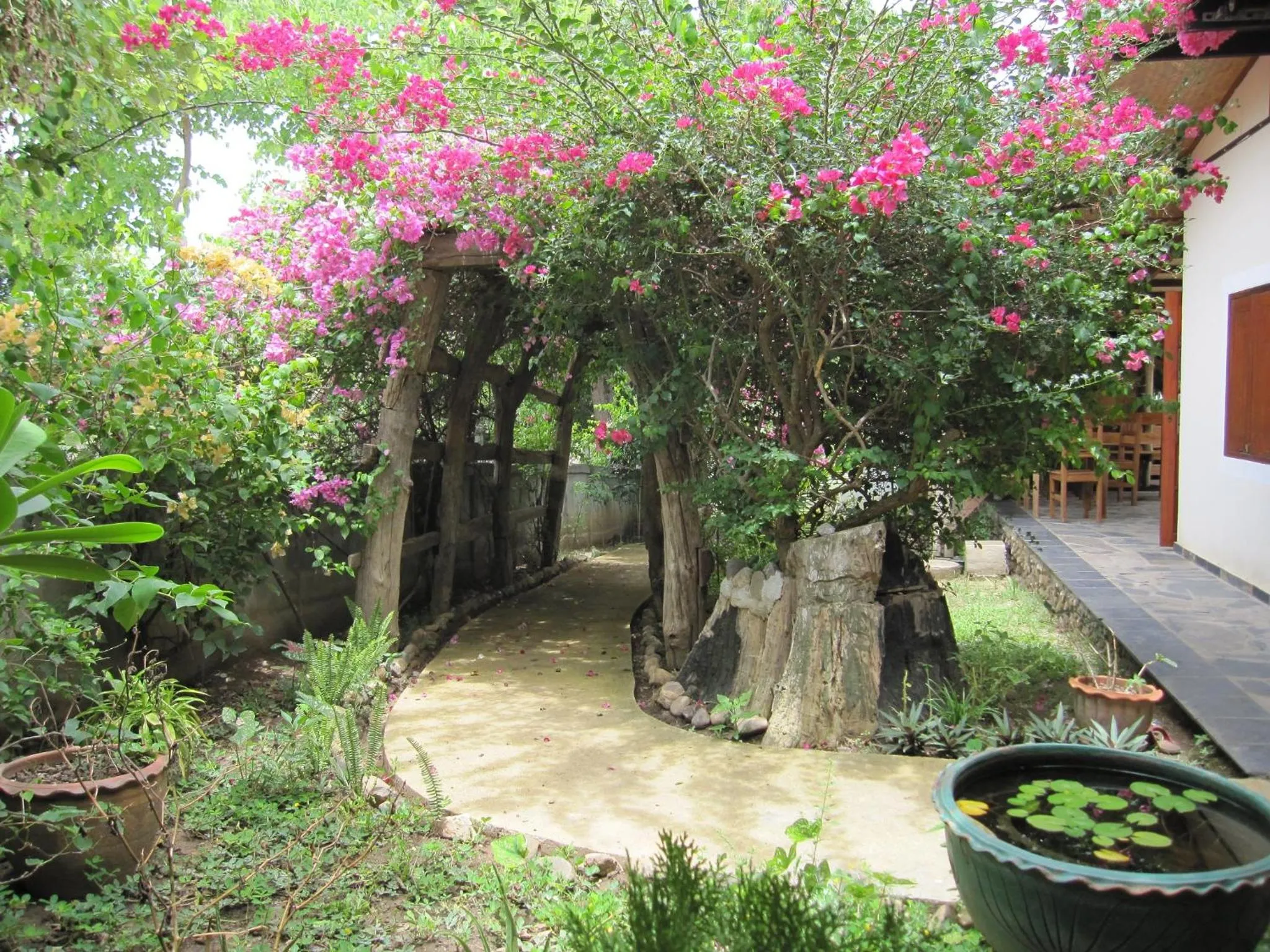 Property building in XPai