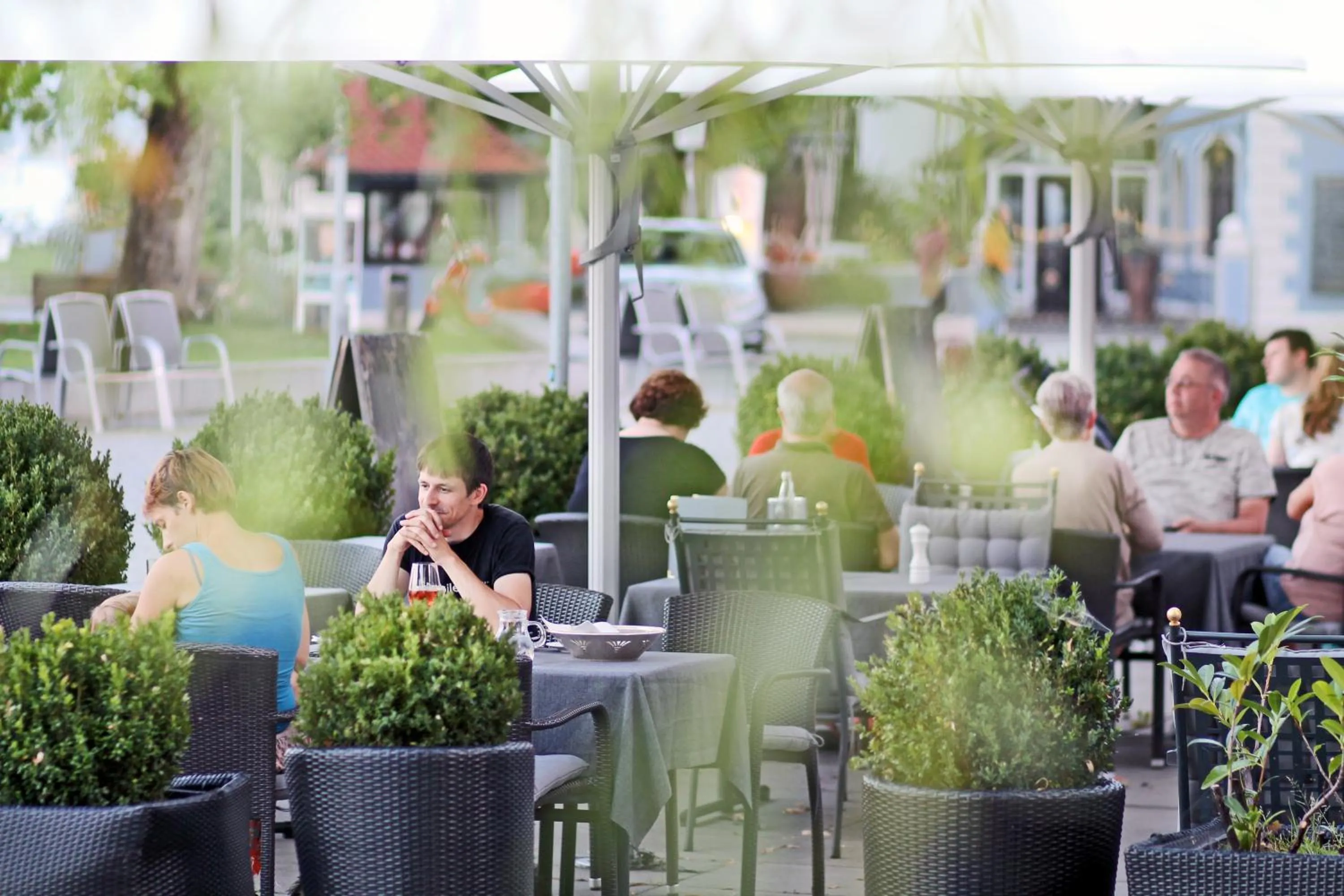 Restaurant/places to eat in Hotel Schiff am See