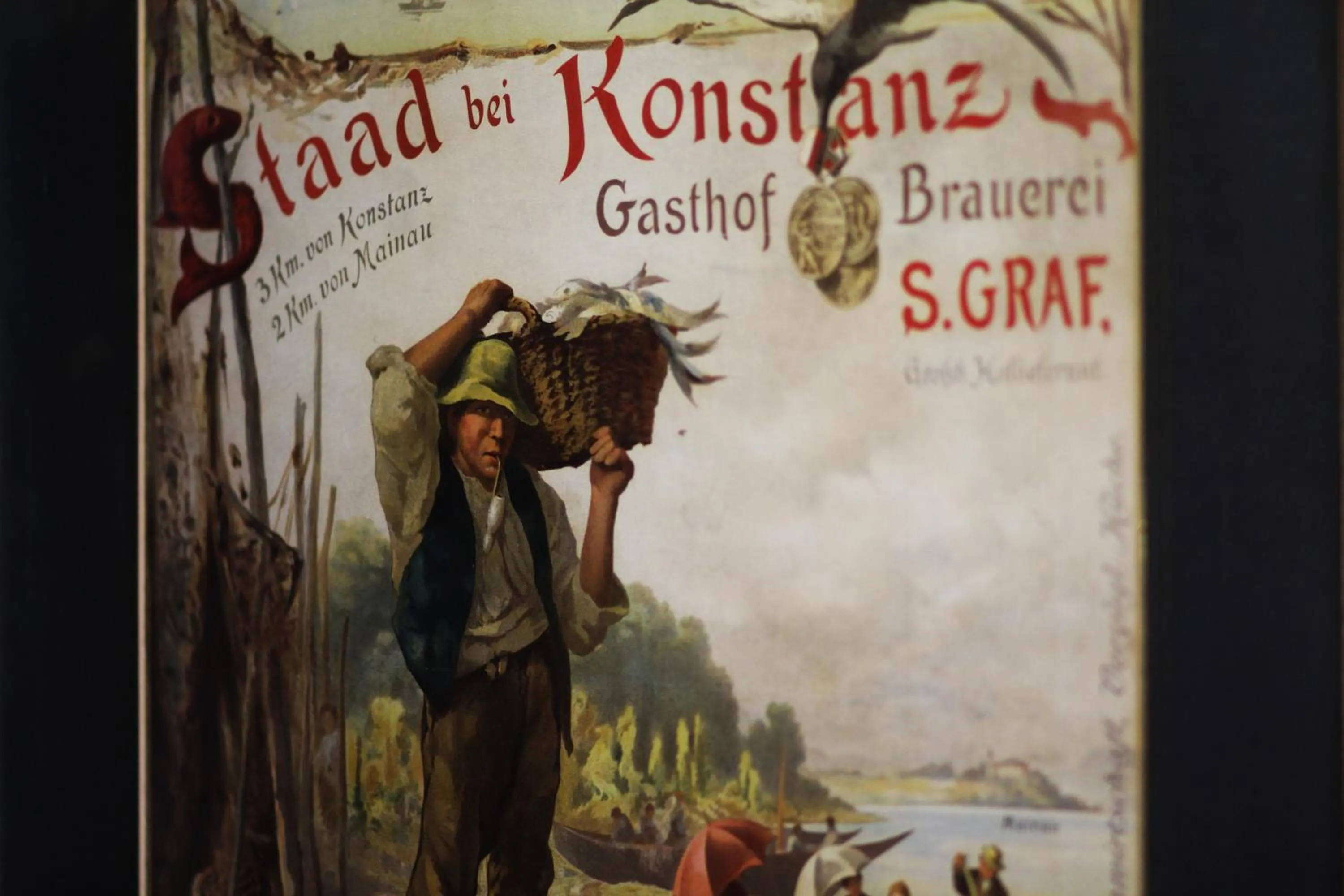 View (from property/room) in Hotel Schiff am See