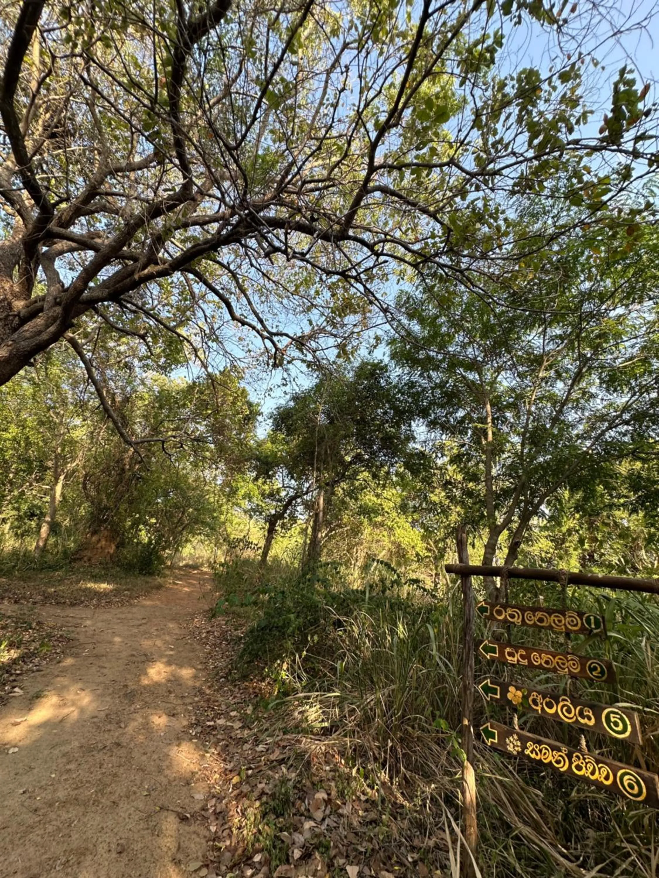 Natural landscape in Athreya Ayurveda Ashram