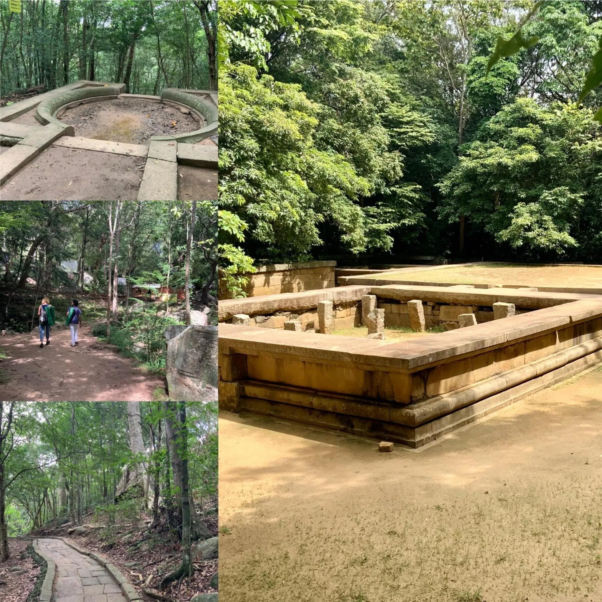 Activities in Athreya Ayurveda Ashram