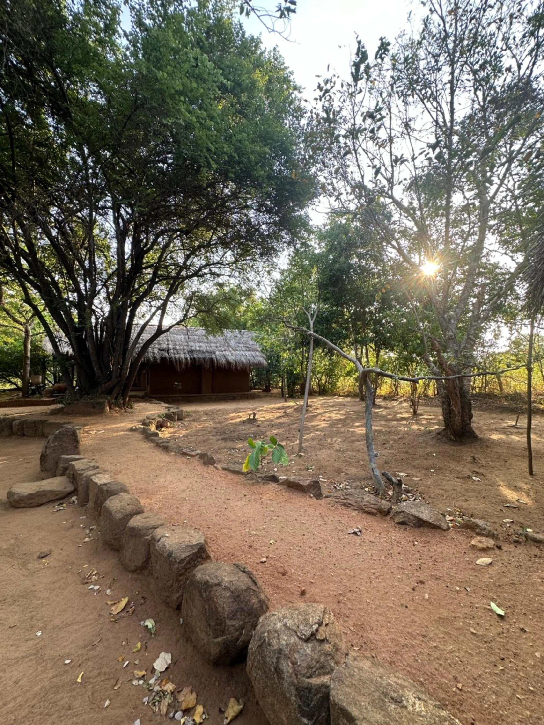 Athreya Ayurveda Ashram