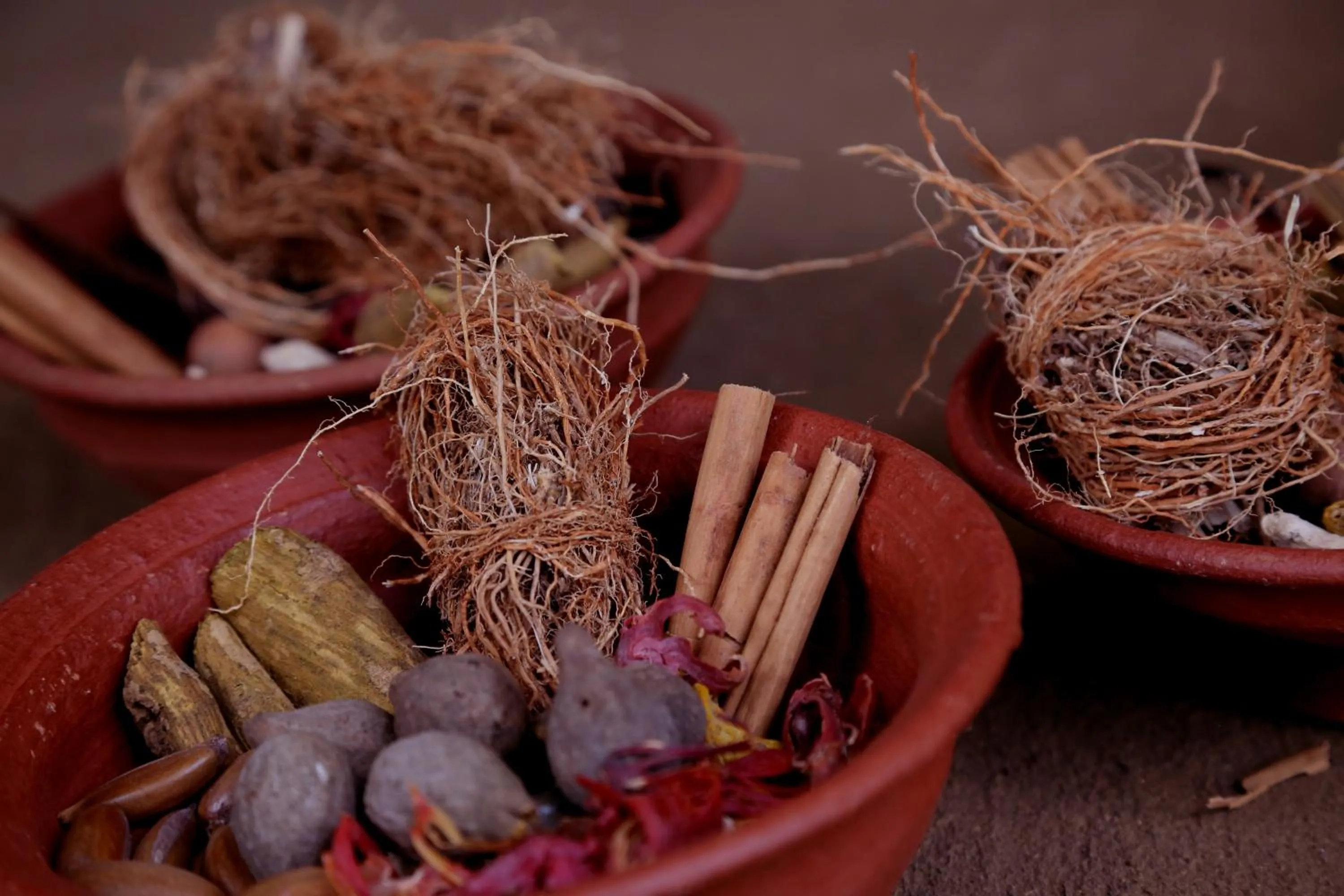 Food and drinks in Athreya Ayurveda Ashram