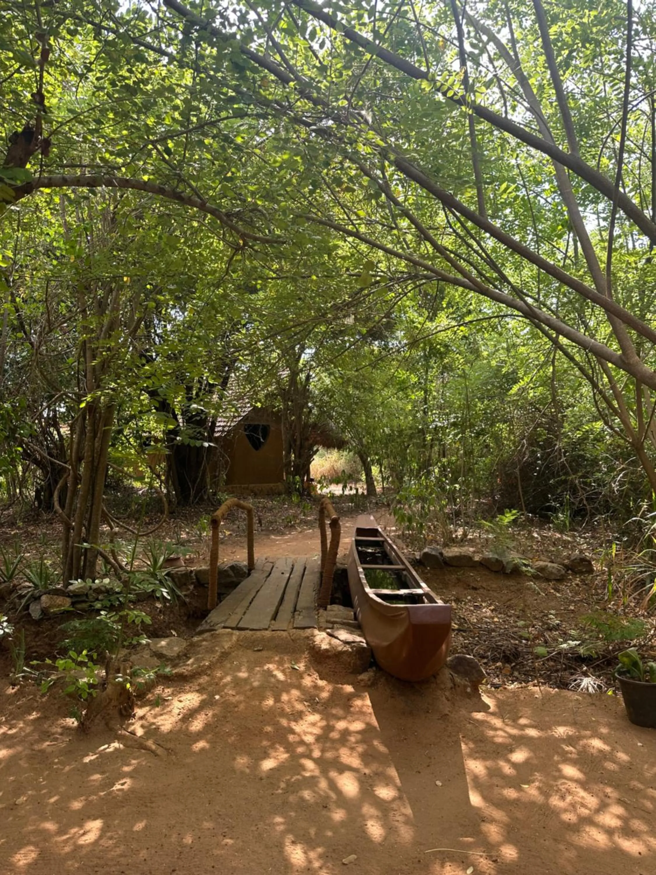 Natural landscape in Athreya Ayurveda Ashram