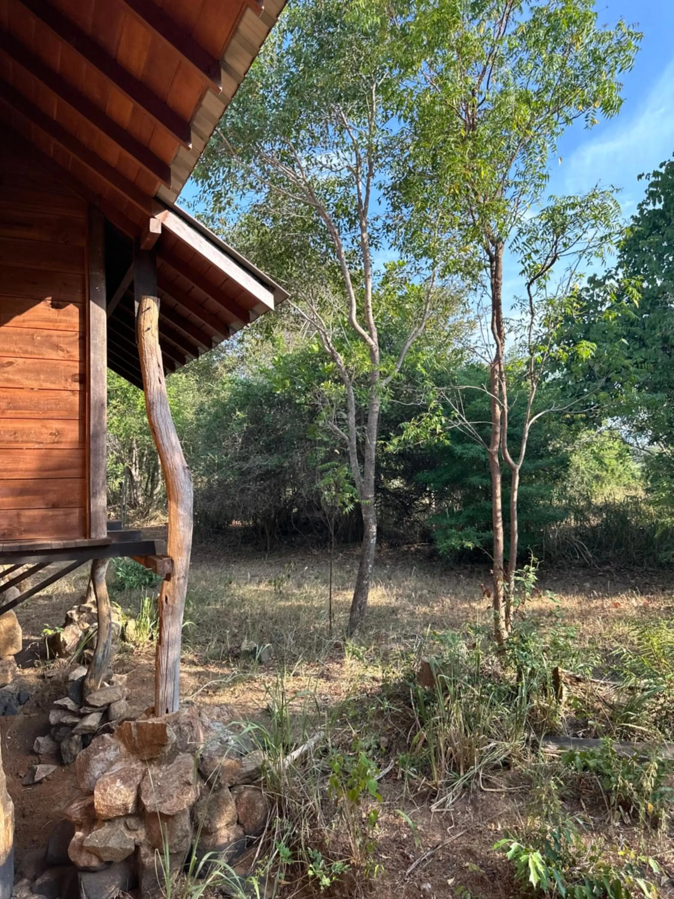 Athreya Ayurveda Ashram