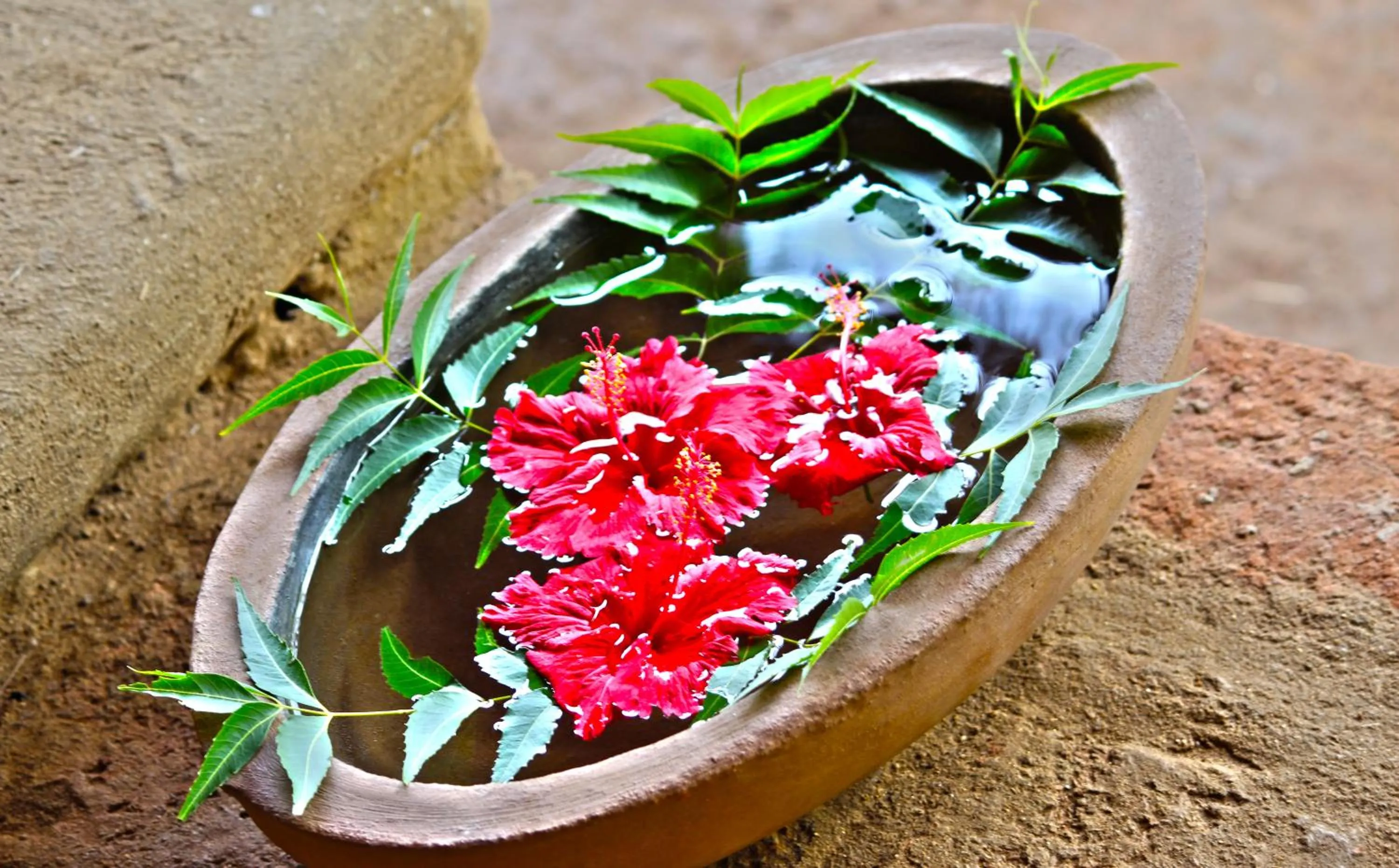 Spa and wellness centre/facilities in Athreya Ayurveda Ashram