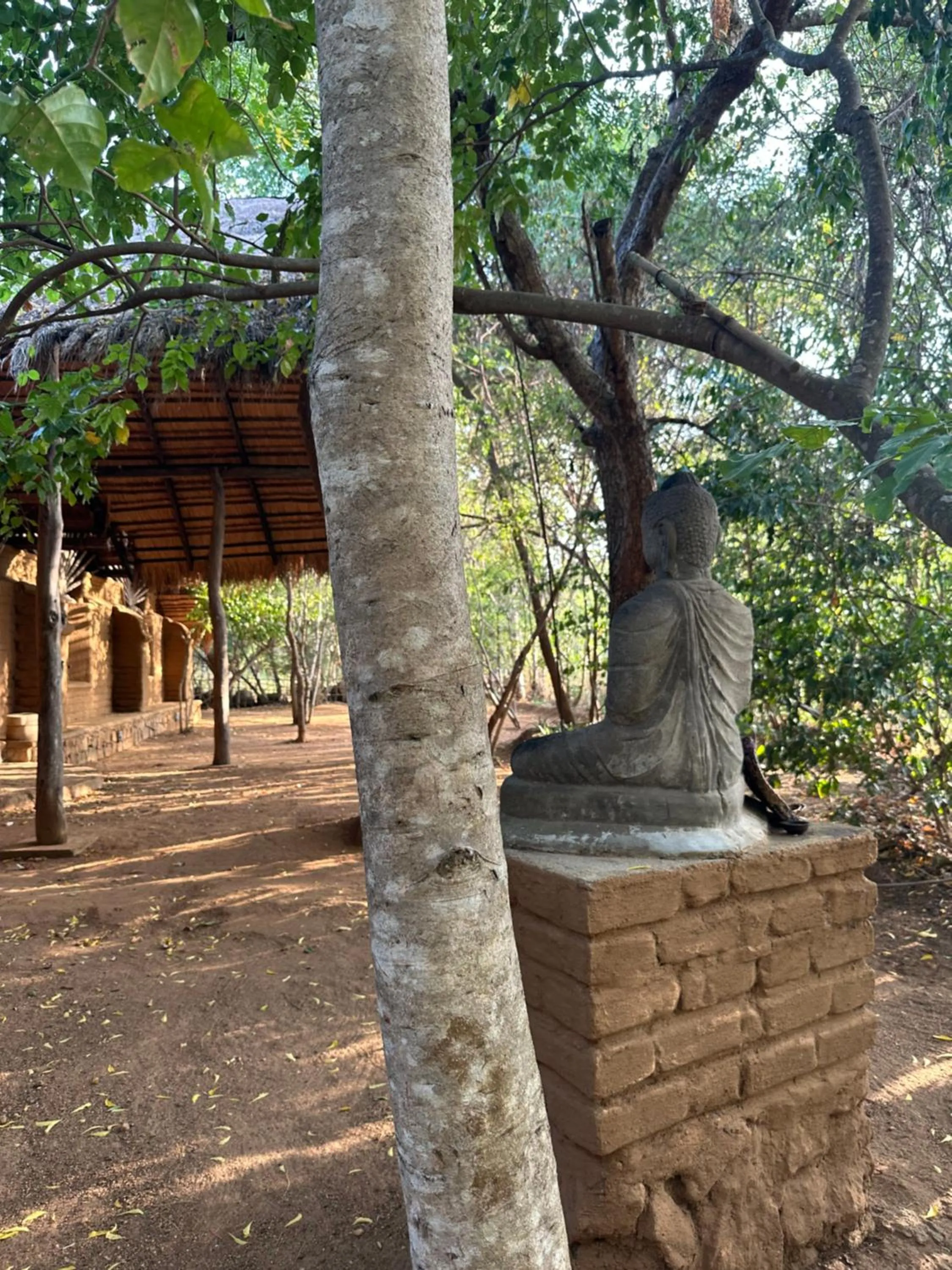 Day in Athreya Ayurveda Ashram