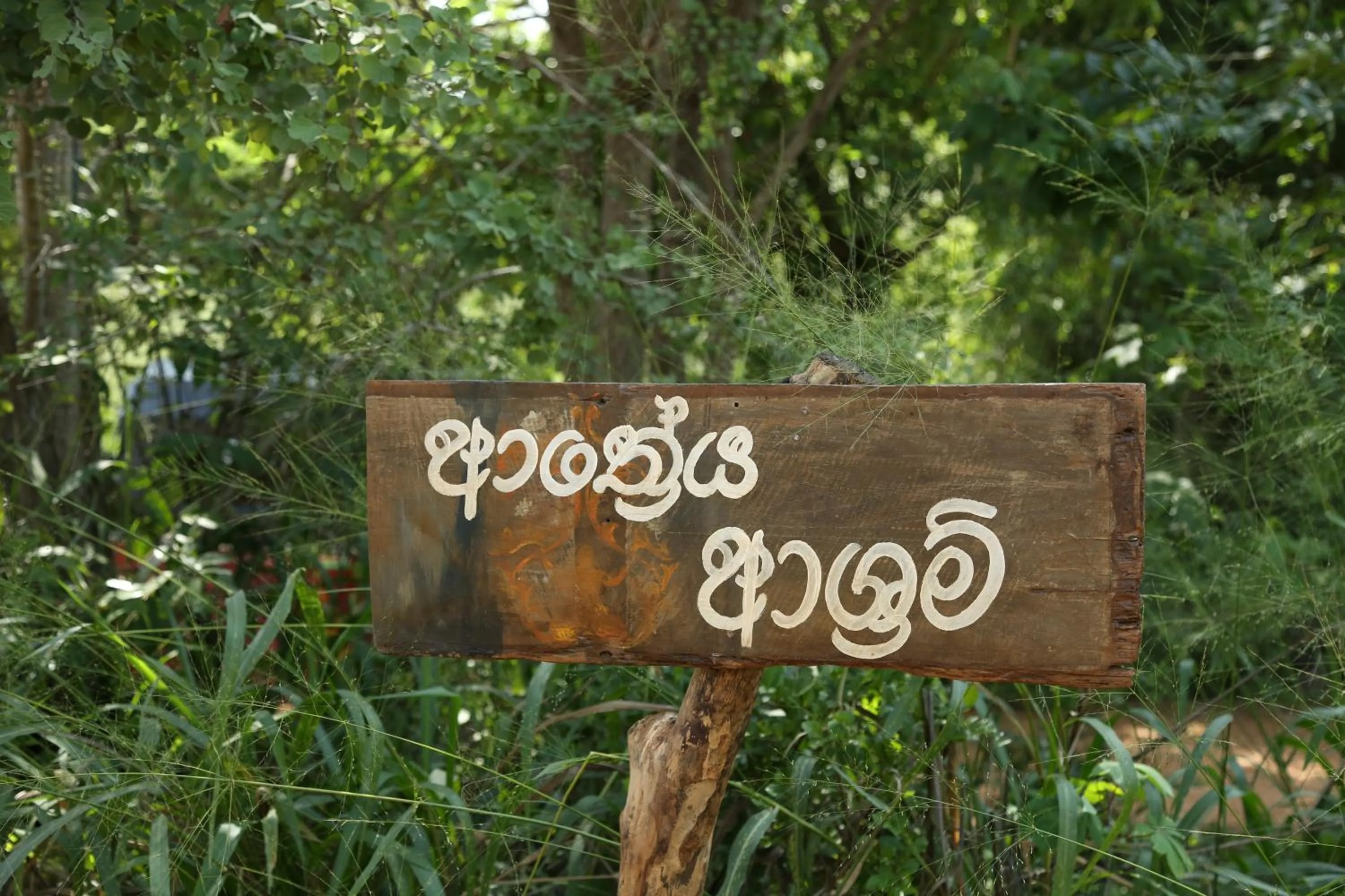 Property logo or sign in Athreya Ayurveda Ashram
