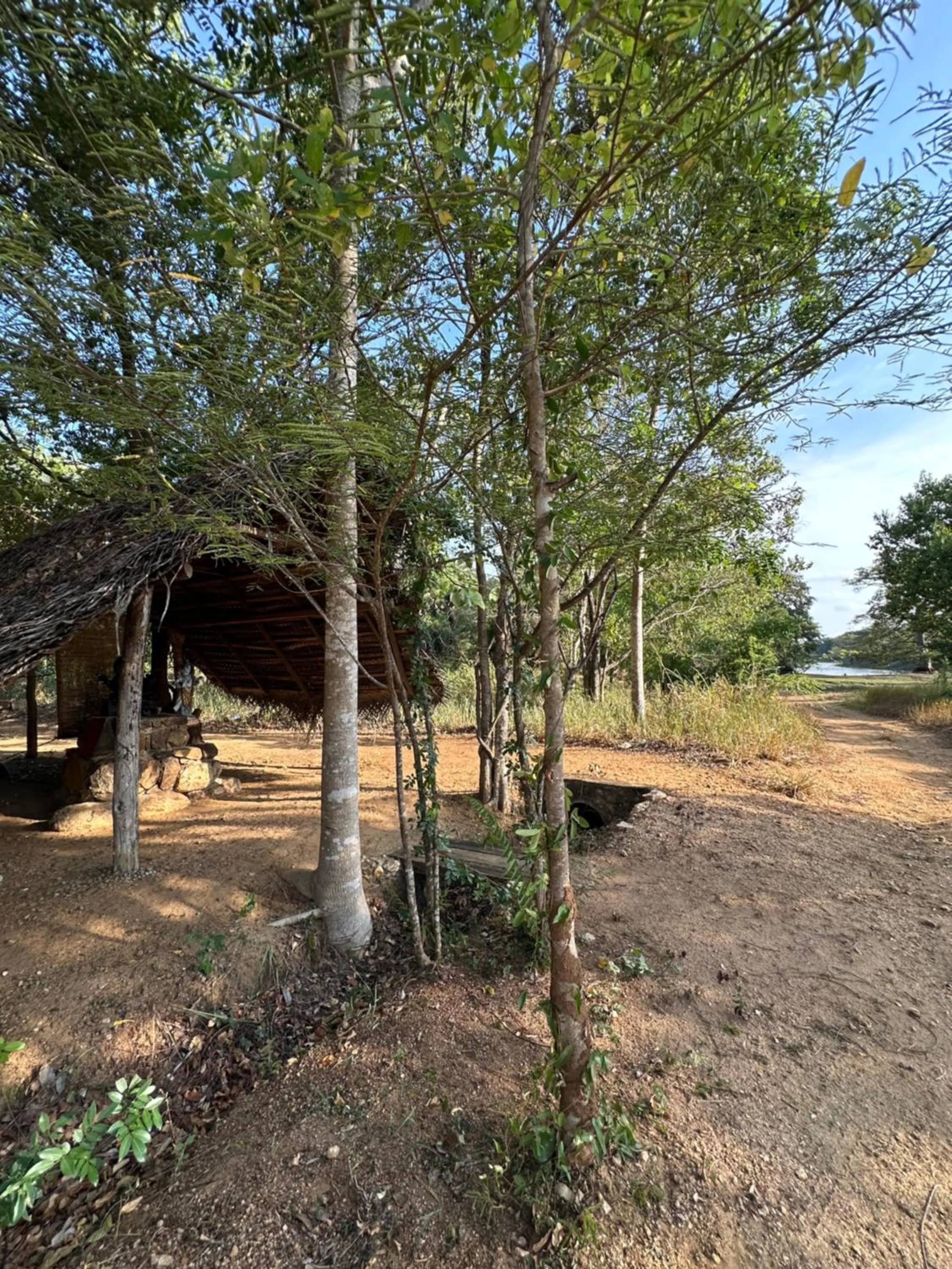 Natural landscape in Athreya Ayurveda Ashram