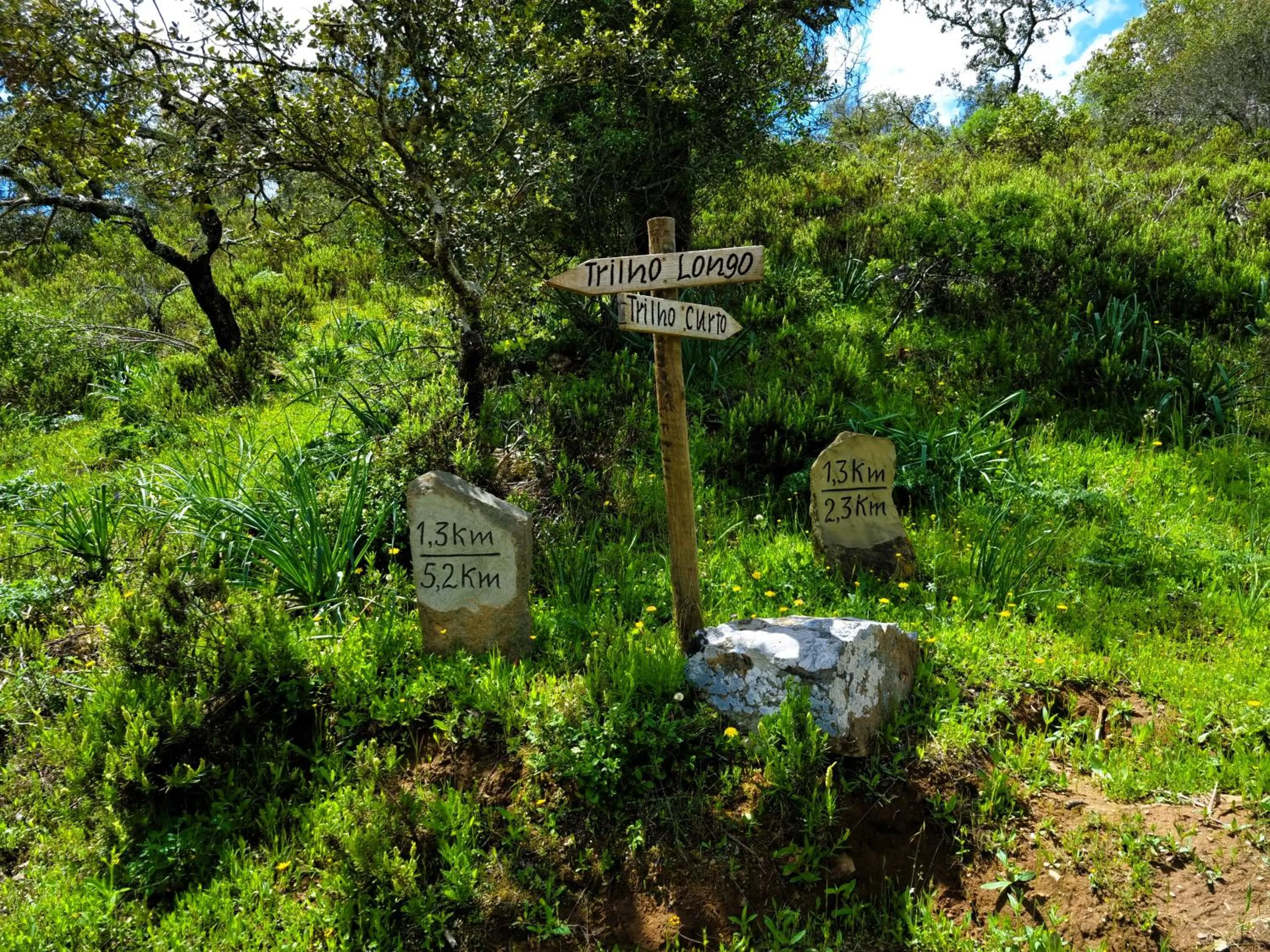 Activities in Monte do Alento - Castro da Cola