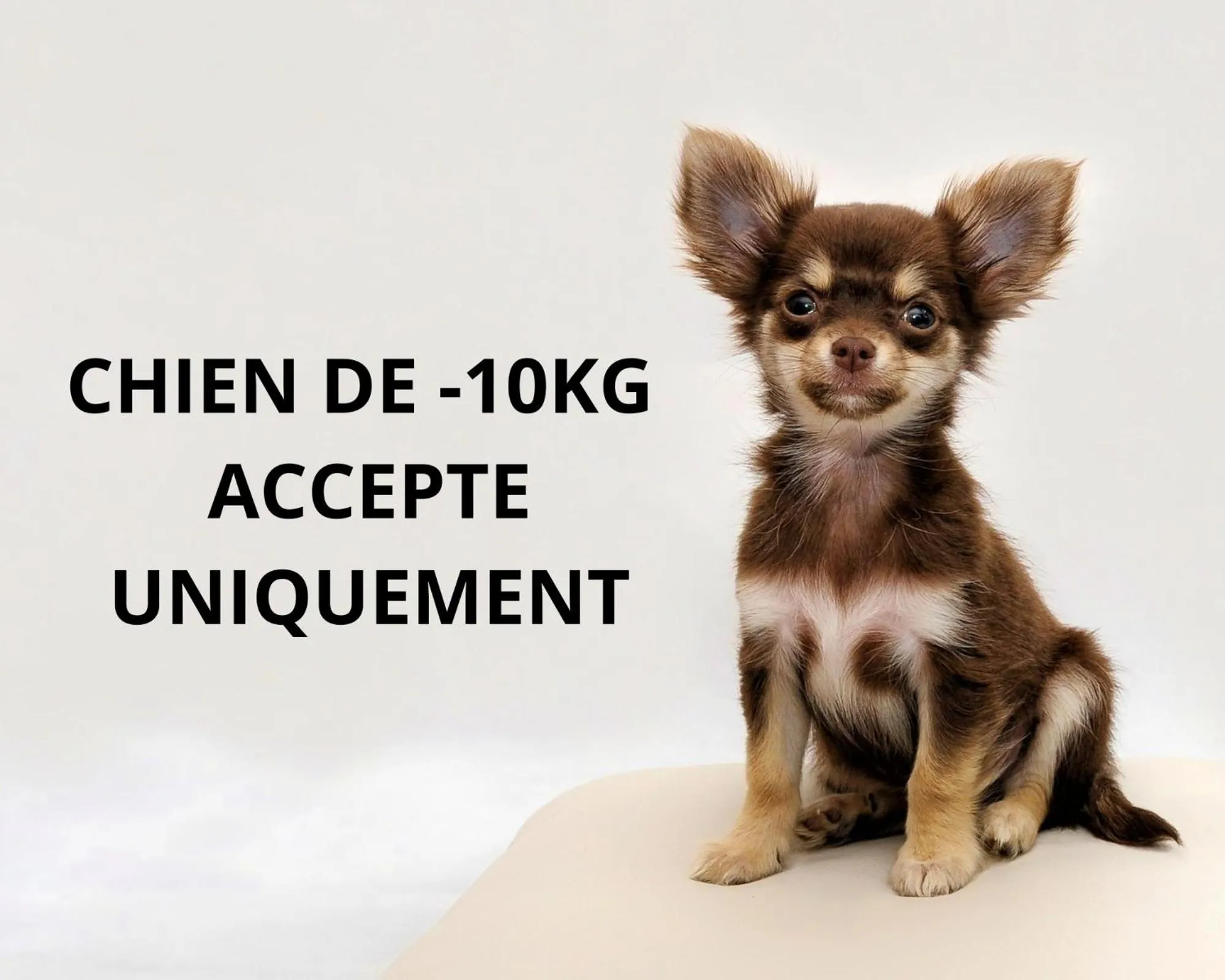 Property building in Hôtel Spa Restaurant La Madrague