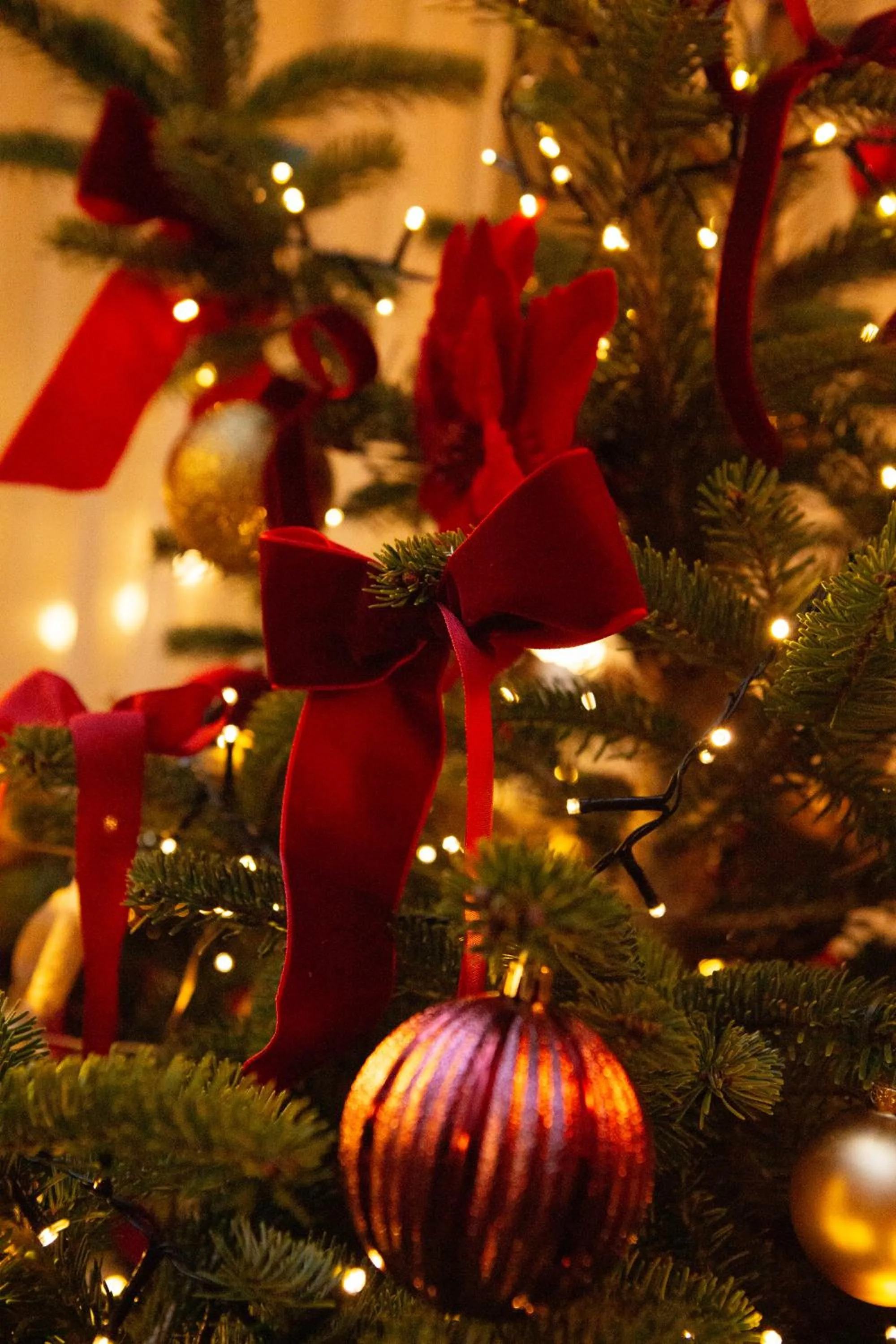Decorative detail in Chapeau Rouge par William Frachot - Hôtel Espace Bien-être & Restaurant étoilé
