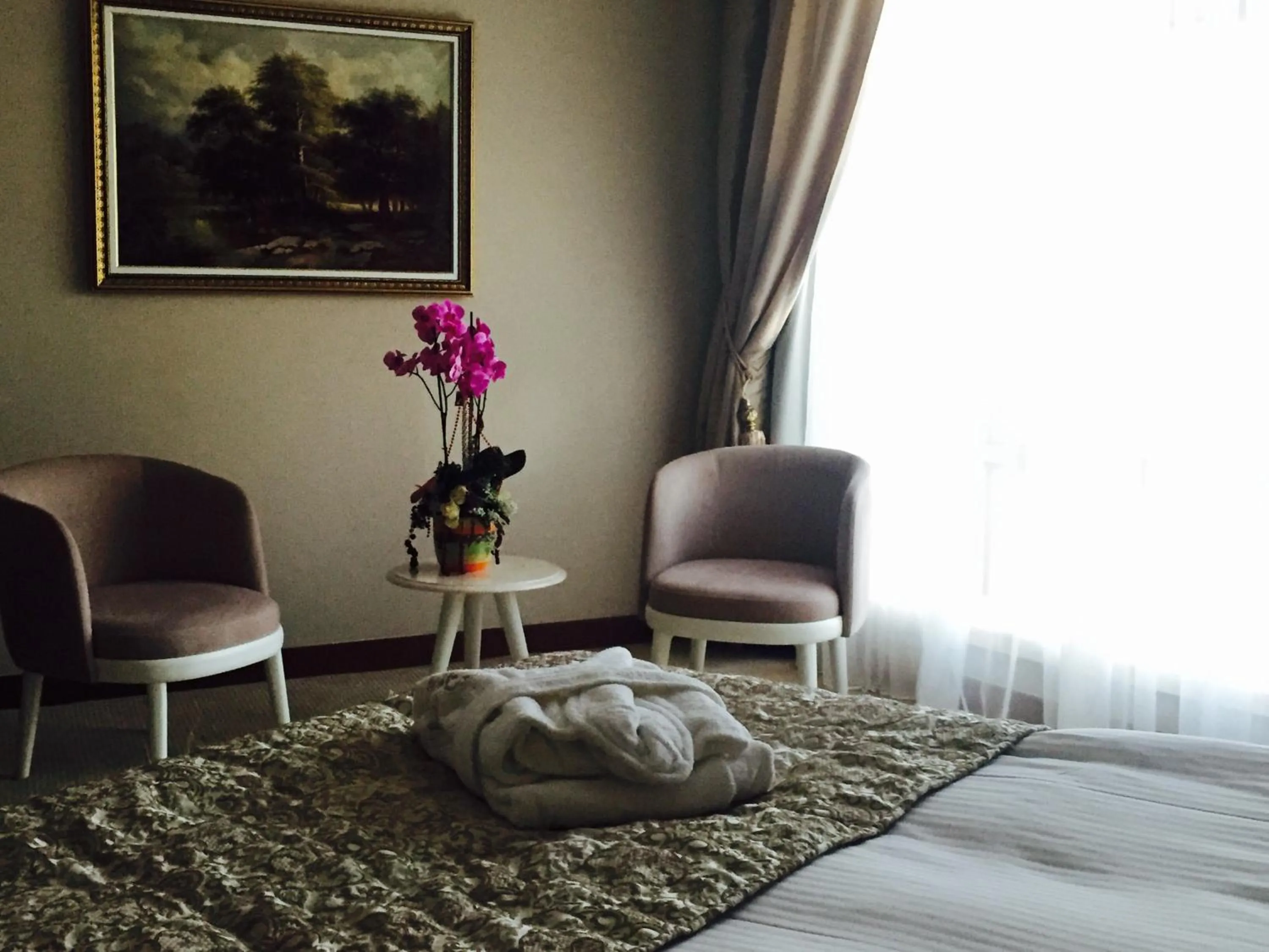 Seating area, Bed in Vivaldi Park Hotel
