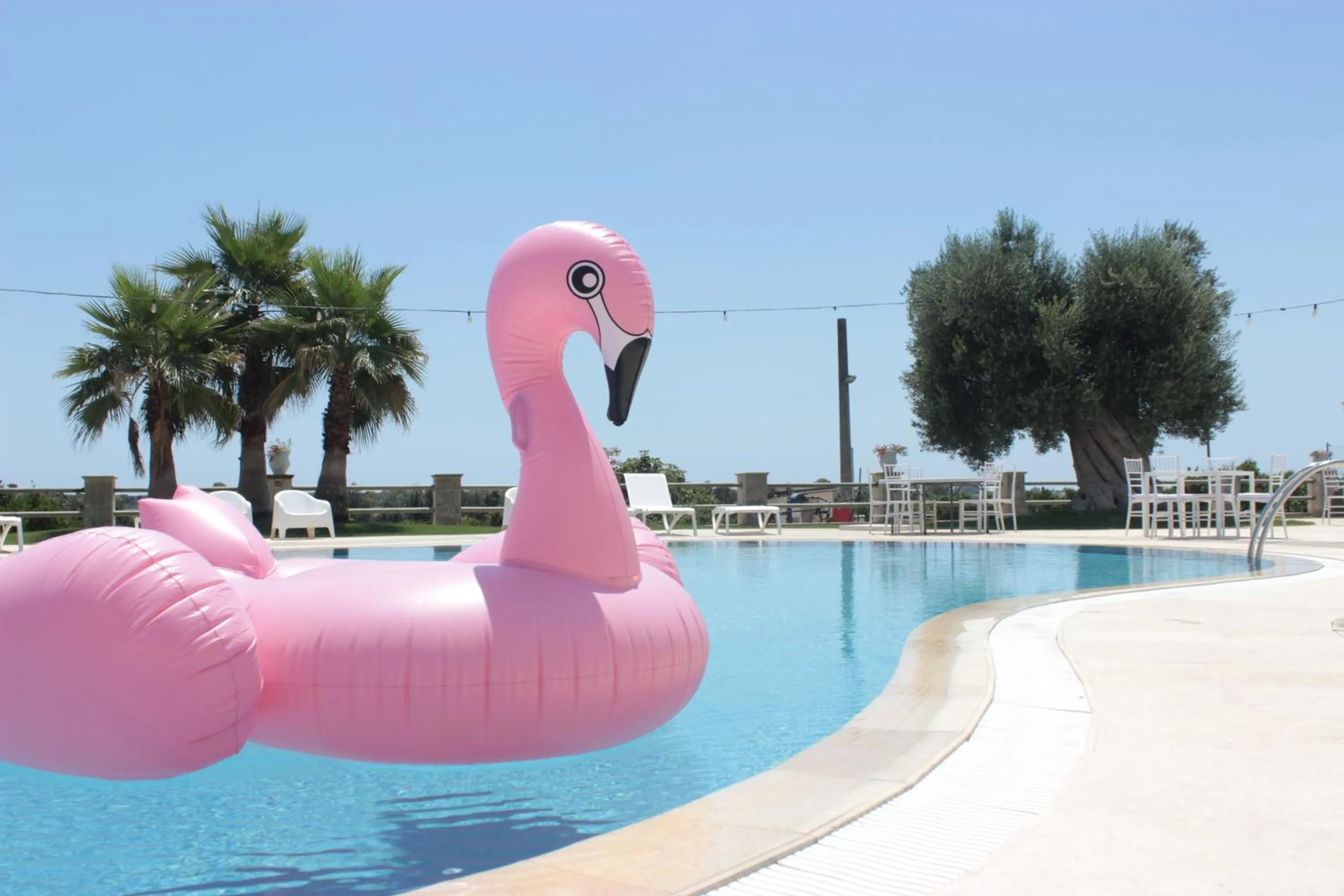 Swimming pool in Masseria Savoia