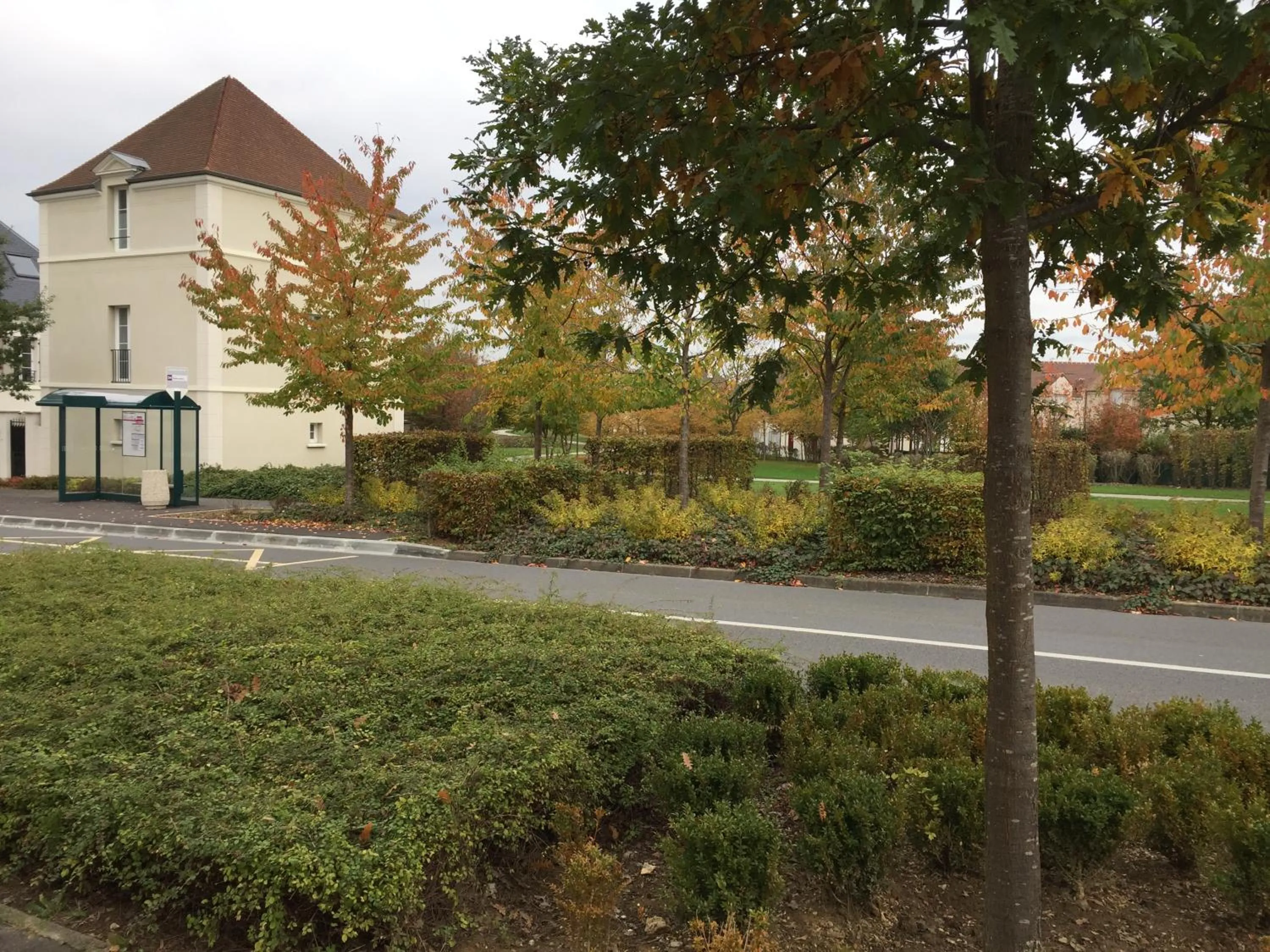 Neighbourhood in koechi