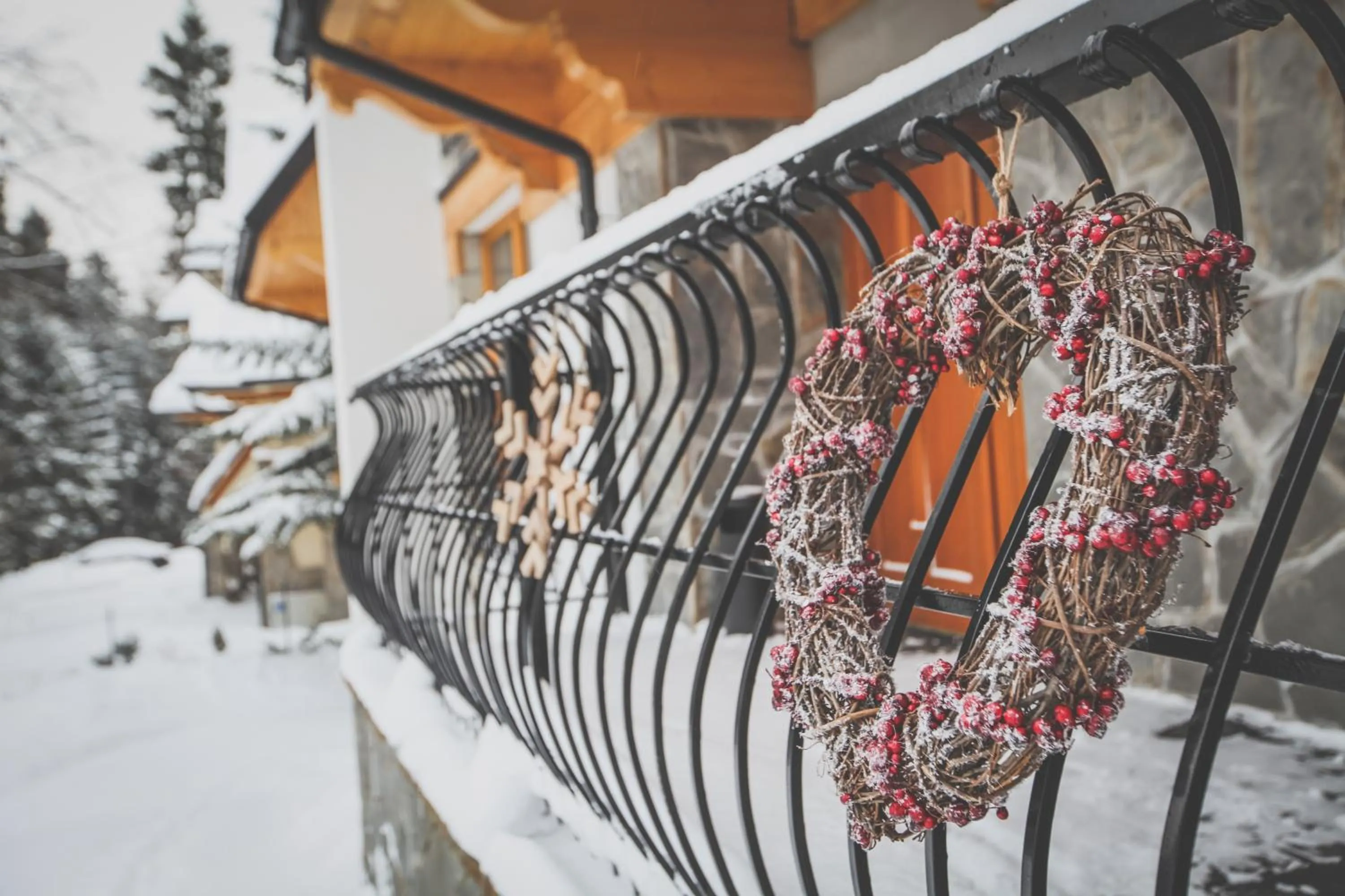 Decorative detail in Bory6a Apartamenty & Free Parking