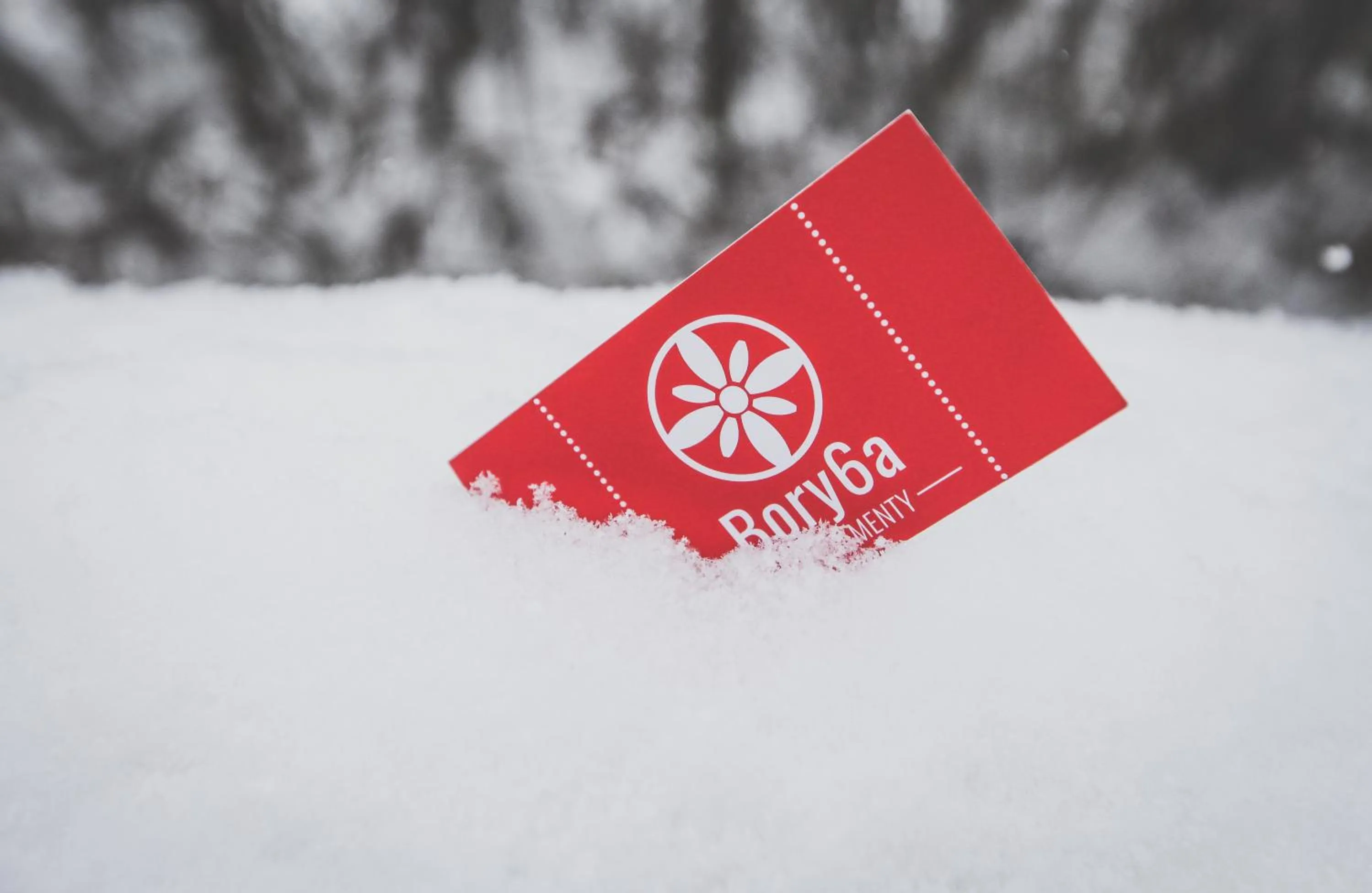 Property logo or sign in Bory6a Apartamenty & Free Parking