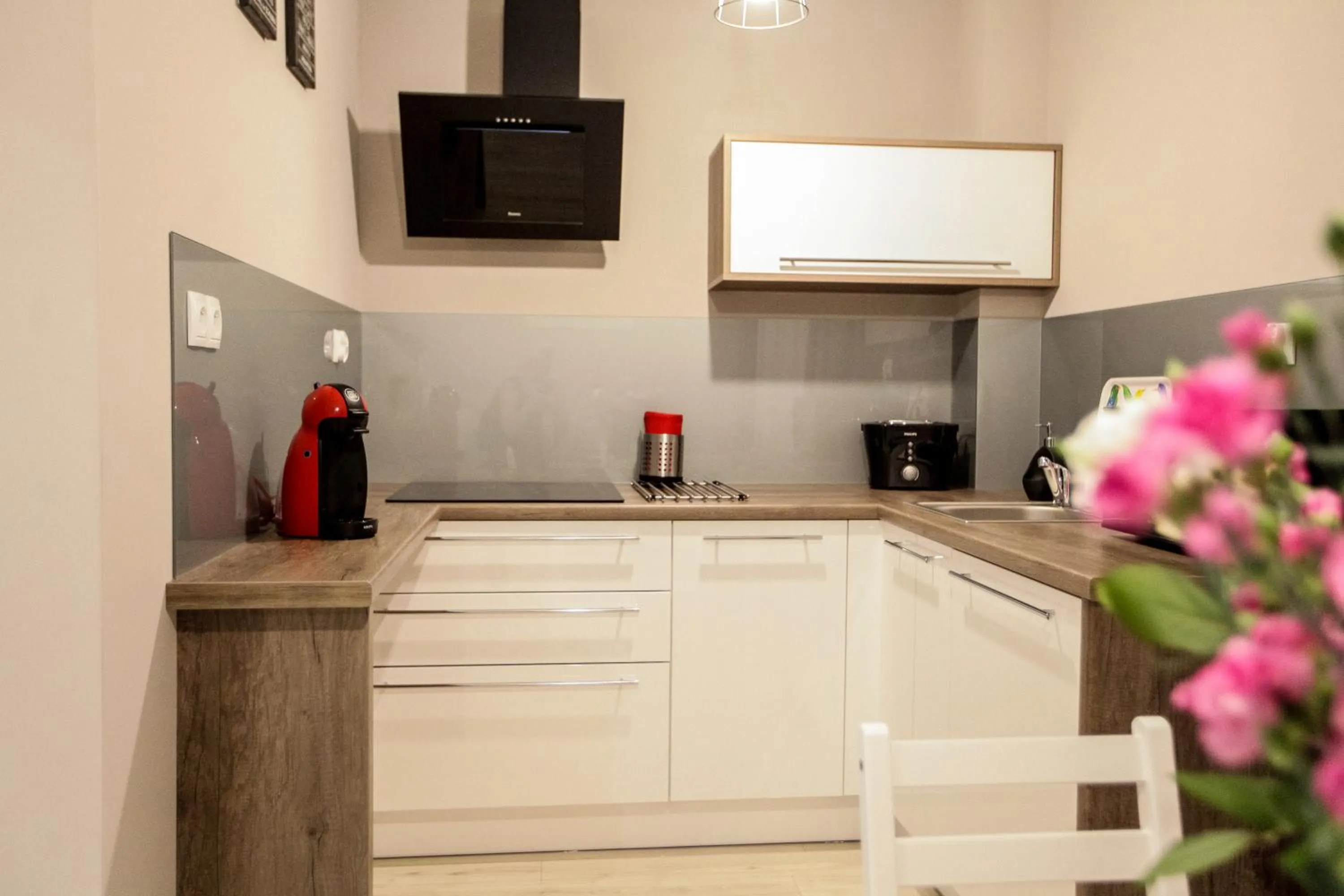 Kitchen or kitchenette in Bory6a Apartamenty & Free Parking