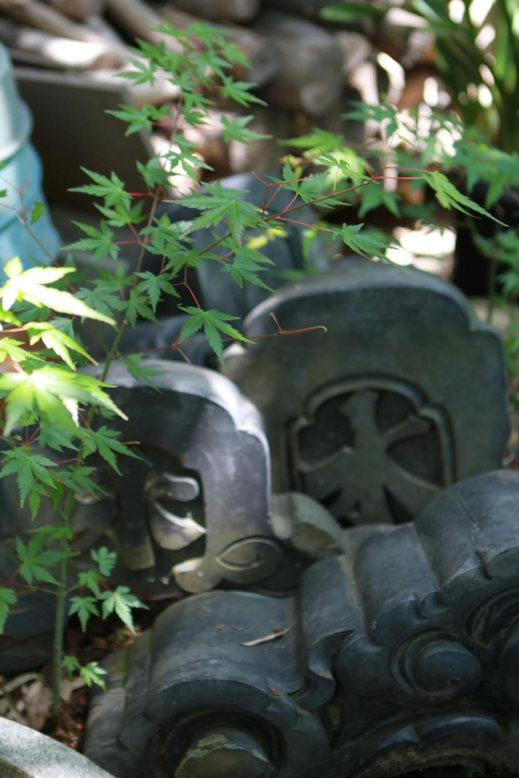 Off site in Guest House Dohei