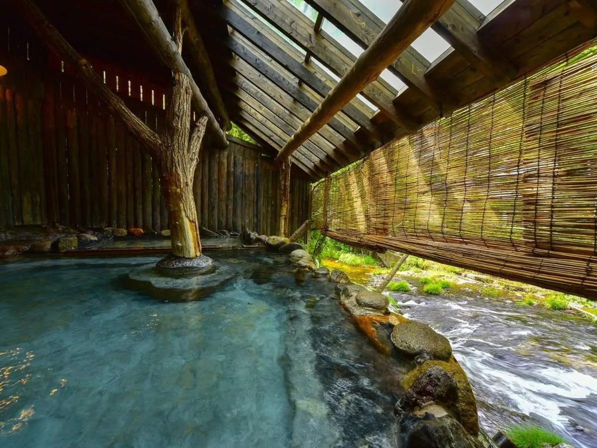 Hot Spring Bath in Kutsurogijyuku Shintaki