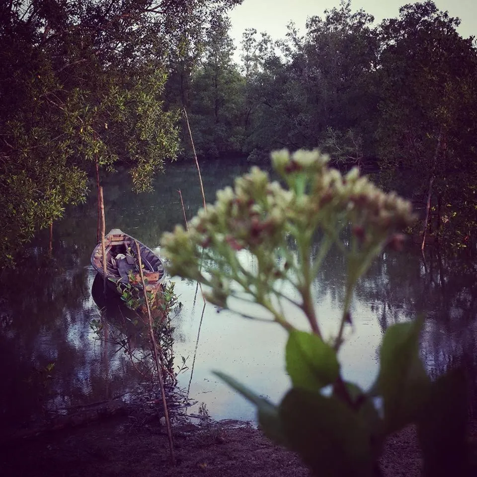 Natural landscape in Calm at Bangphat