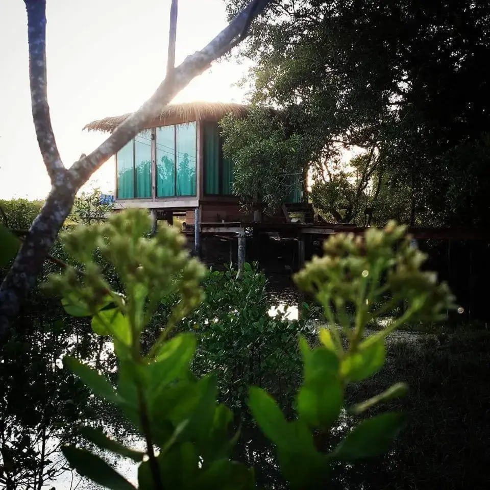 Calm at Bangphat Calm at Bangphat