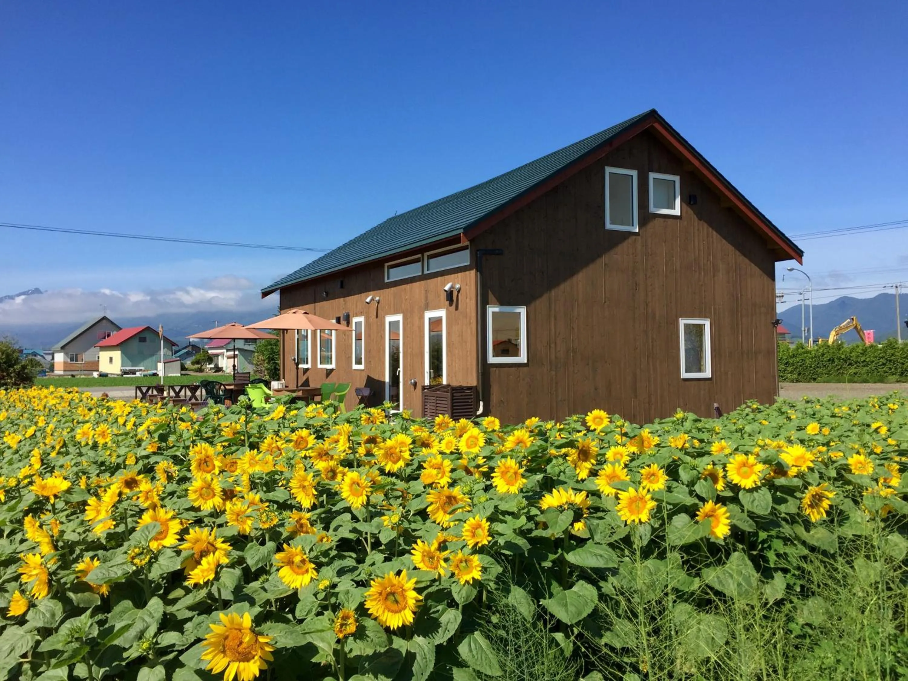 Facade/entrance in Country Cottage Wakiaiai