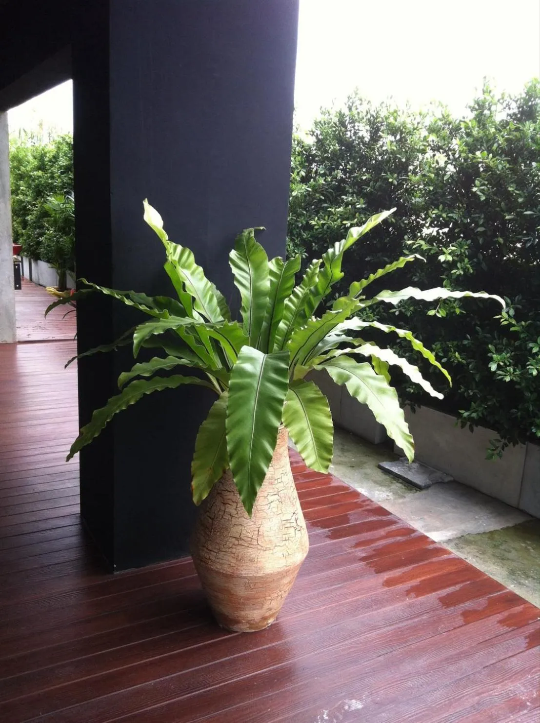 Area and facilities in The LogBook Room and Cafe'