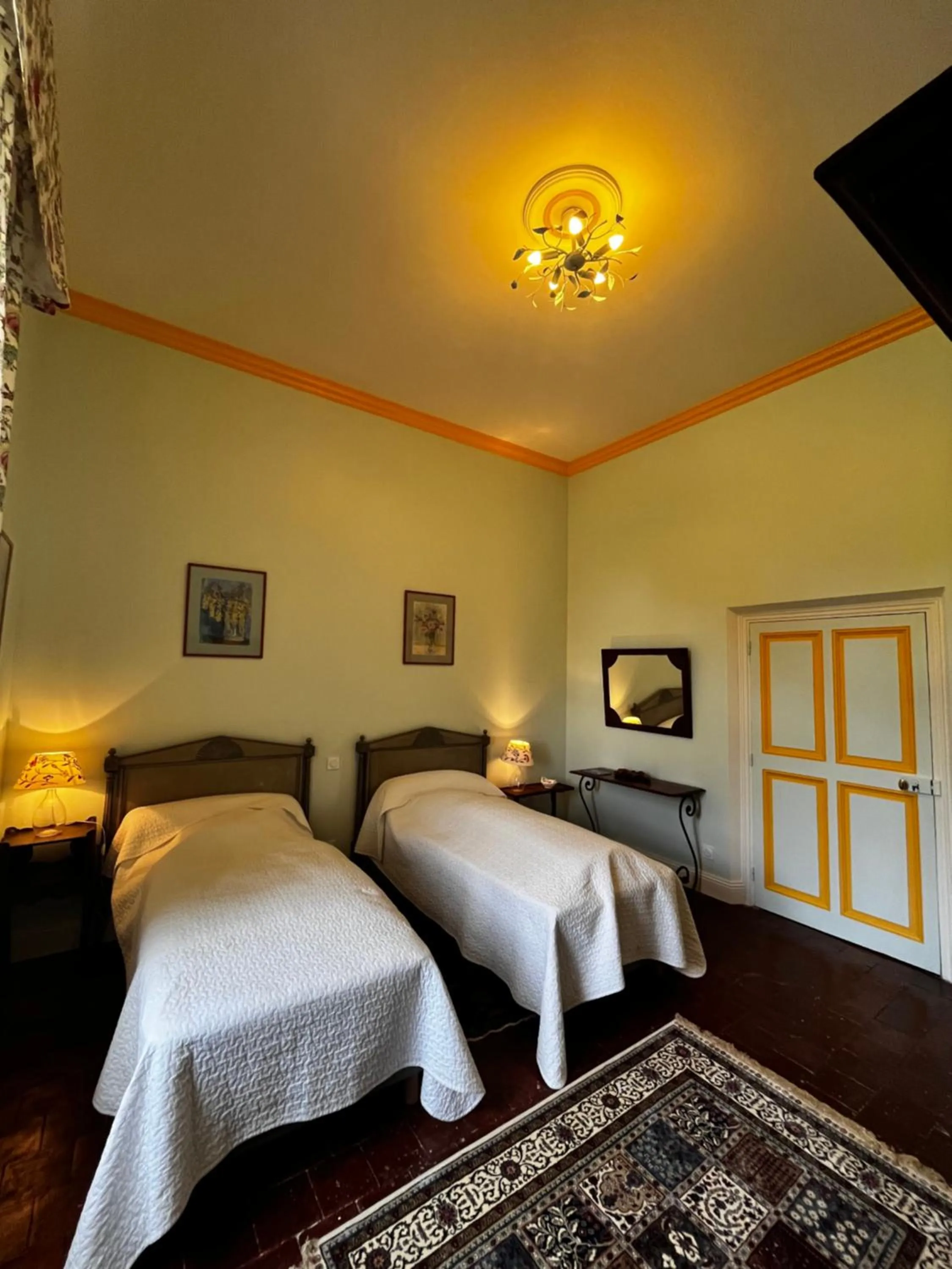 Photo of the whole room in Château de Rousson