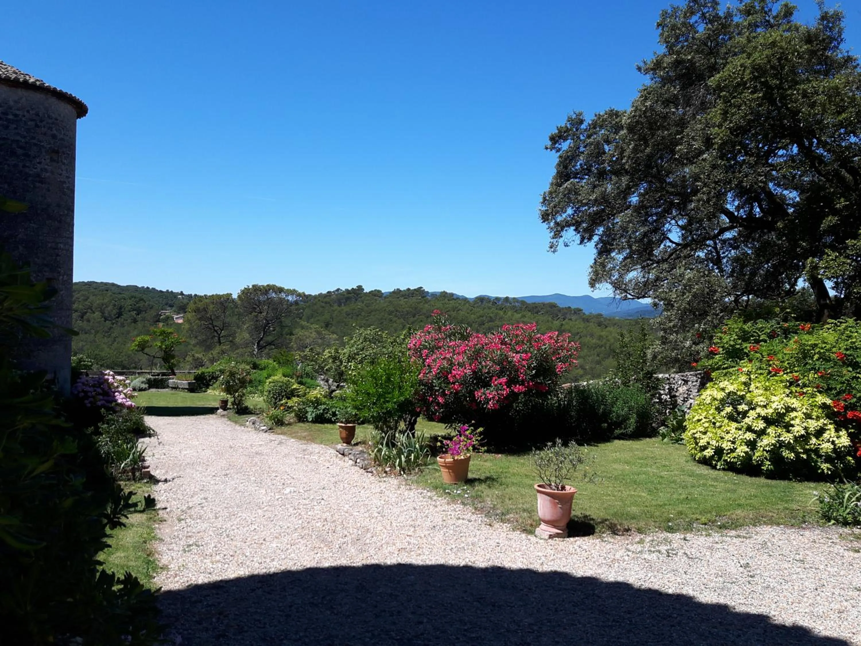 Garden view in Château de Rousson