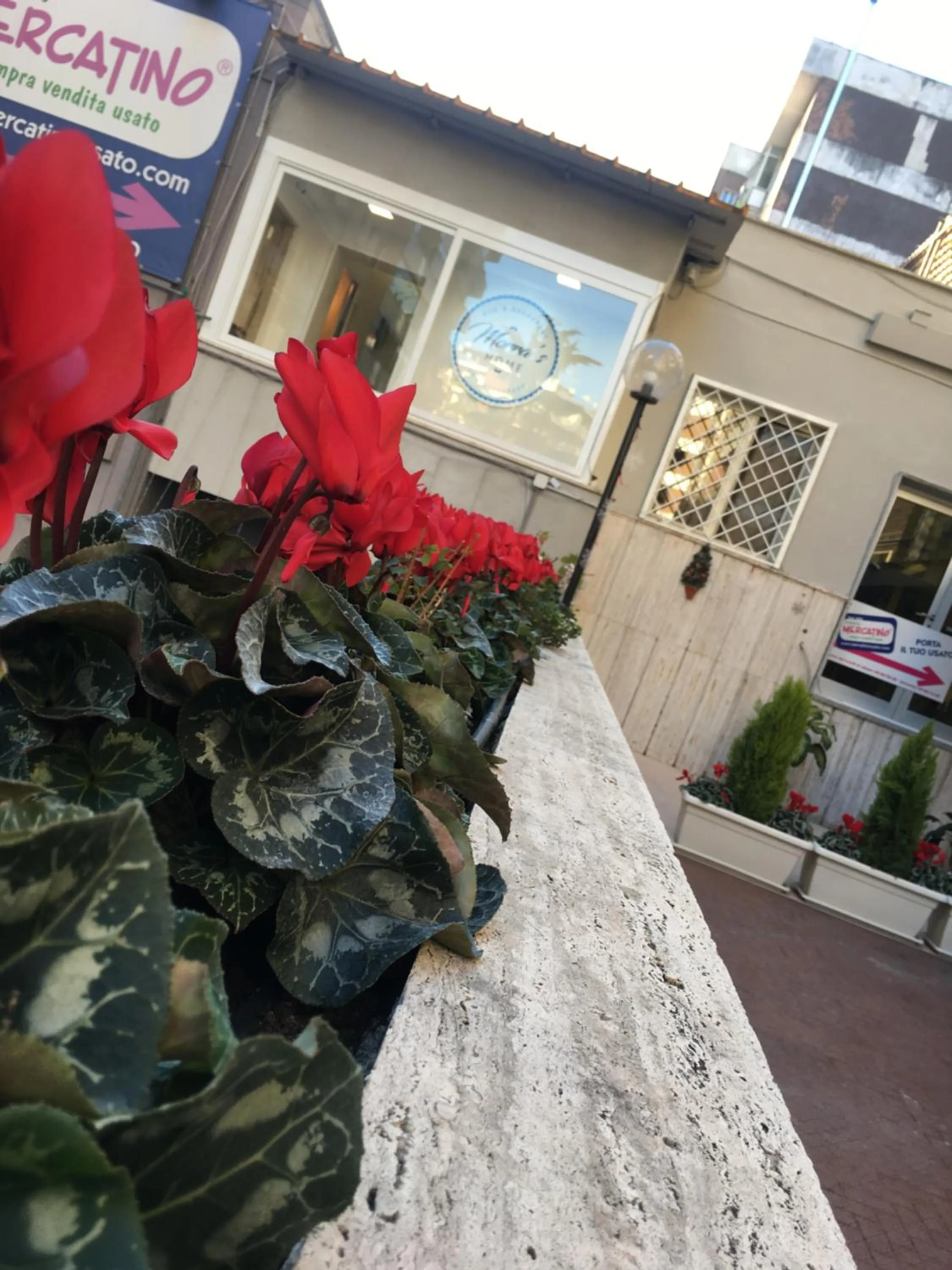 Property building in Morra's Home