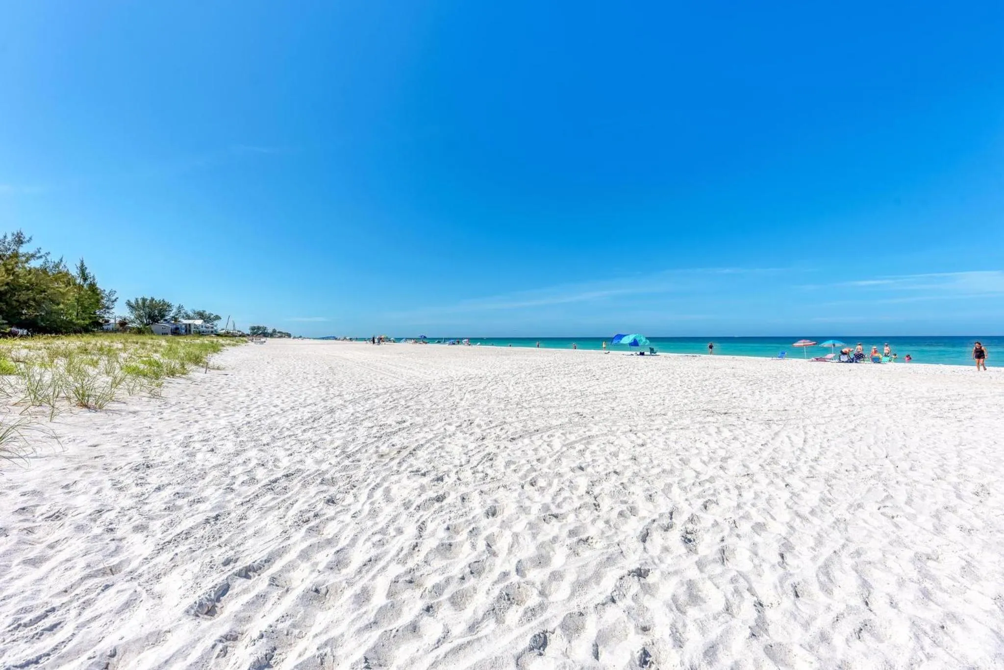 Anna Maria Island Beach Sands 101